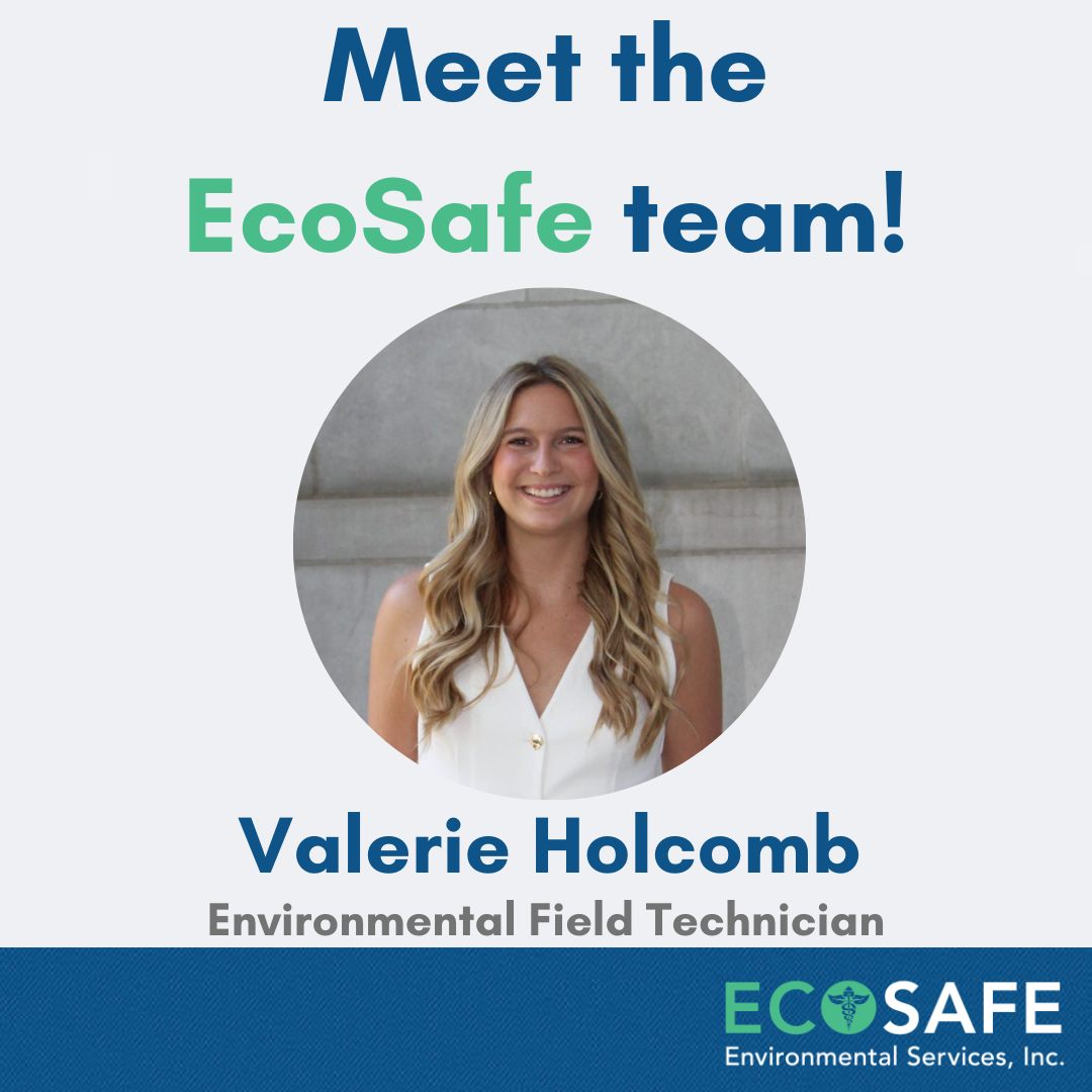 EcoSafe Mold Removal