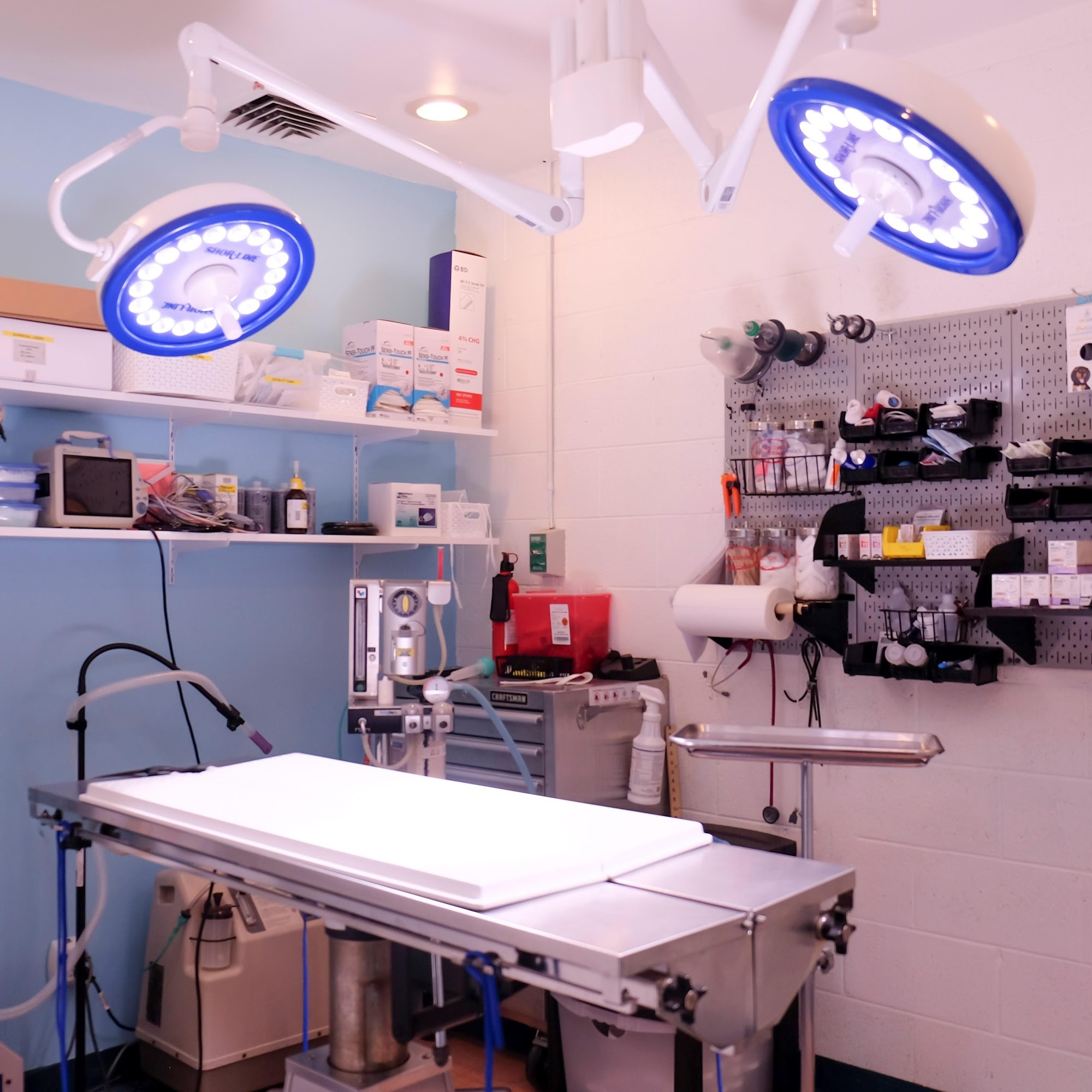 Union Hill Animal Hospital Kansas City