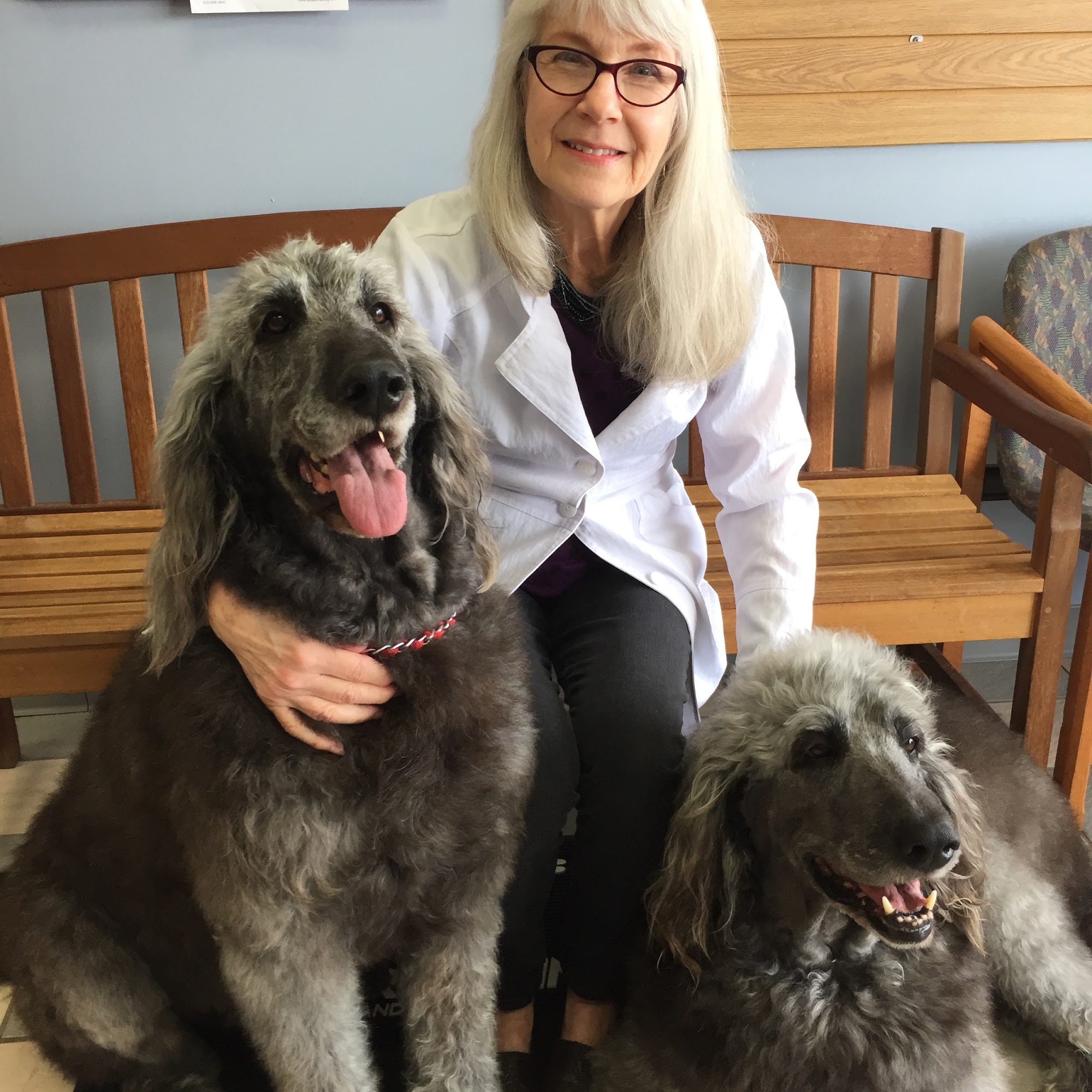 Picture Hills Pet Hospital Kansas City