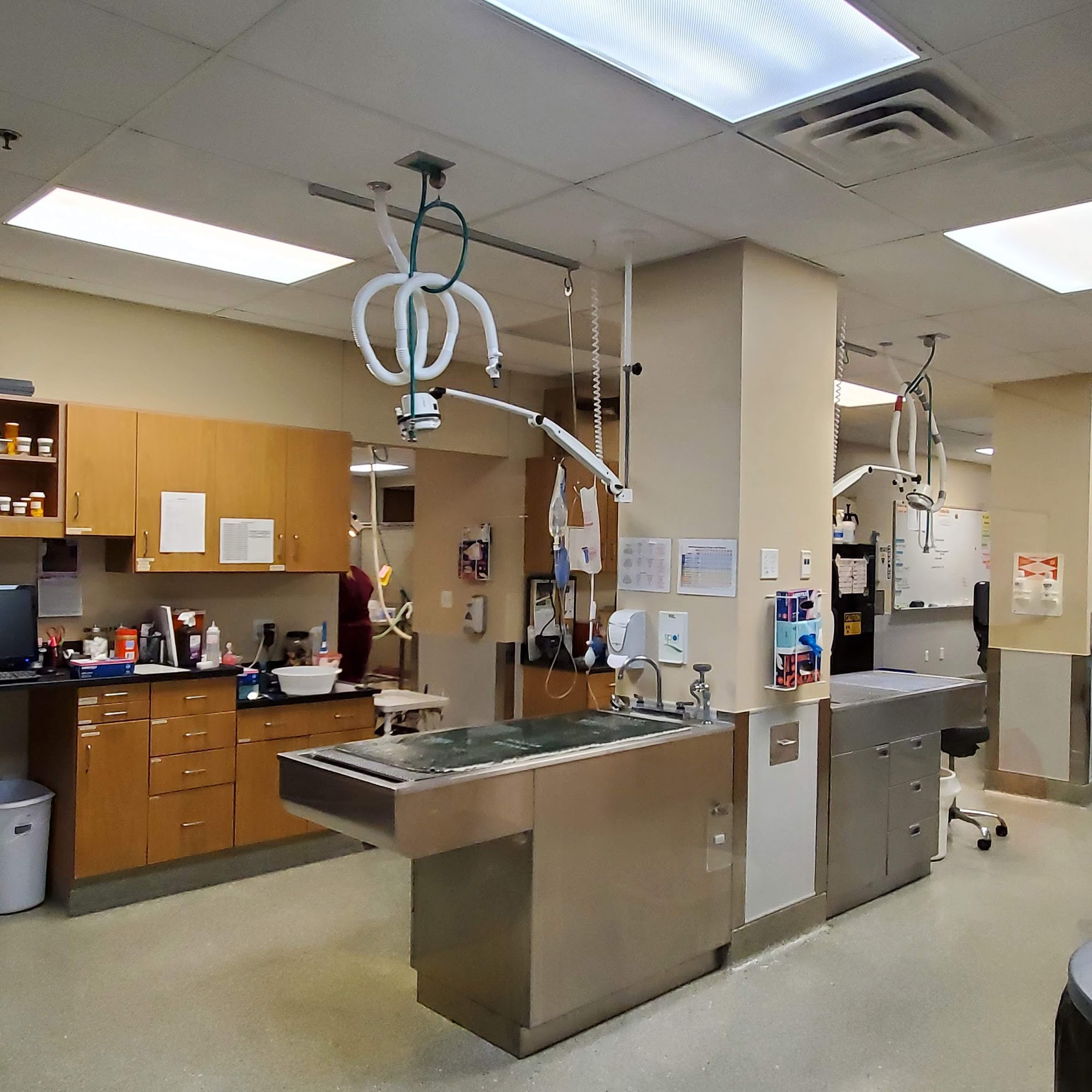 Wayside Waifs Kansas City