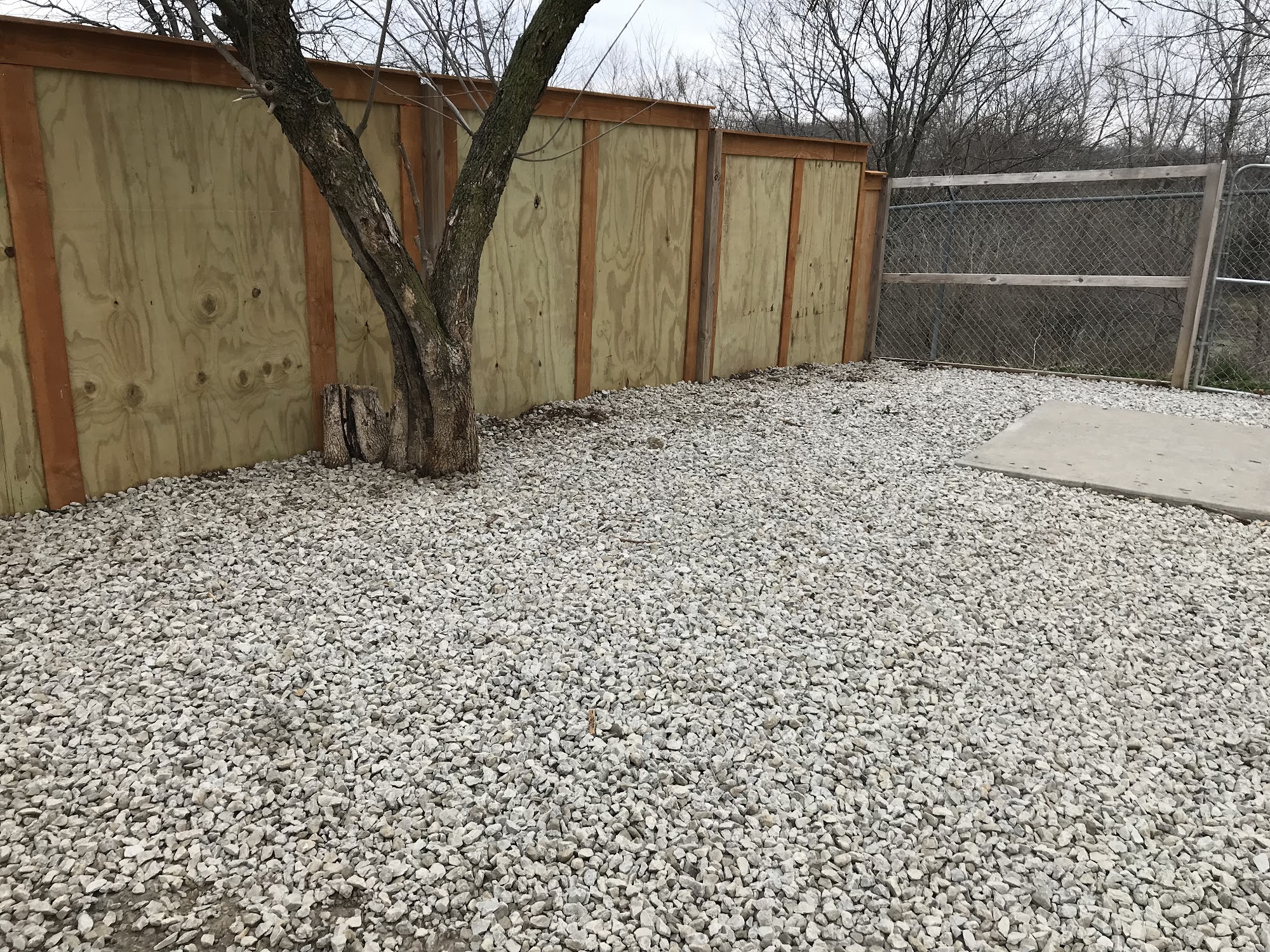 Elkhound Ranch Kennels Kansas City