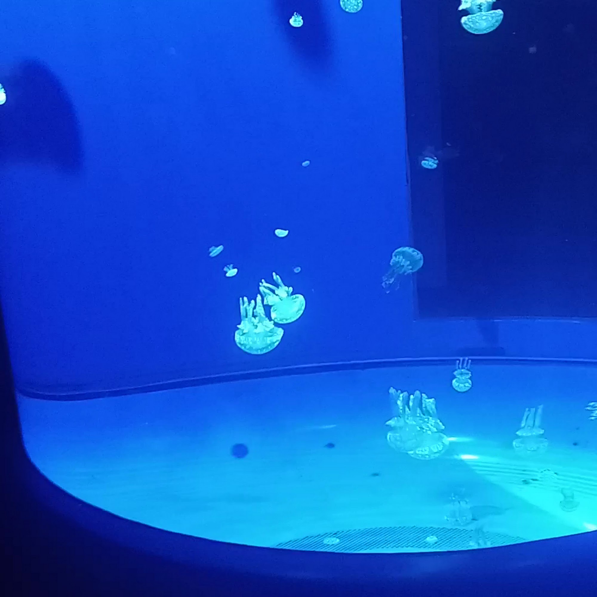 Western Union Kansas City