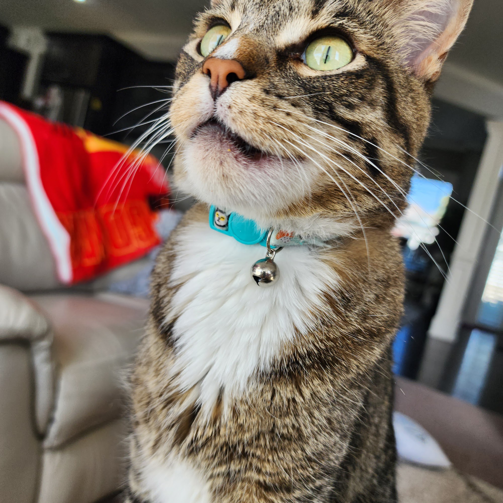 Long Veterinary Clinic: Gundei Adam M DVM Kearney