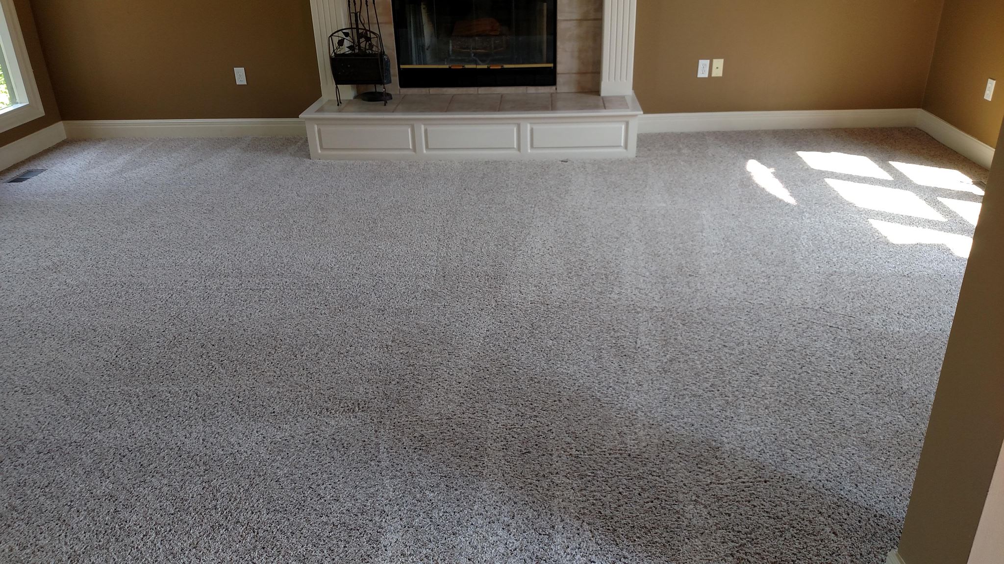 Rapid Carpet & Upholstery Cleaning
