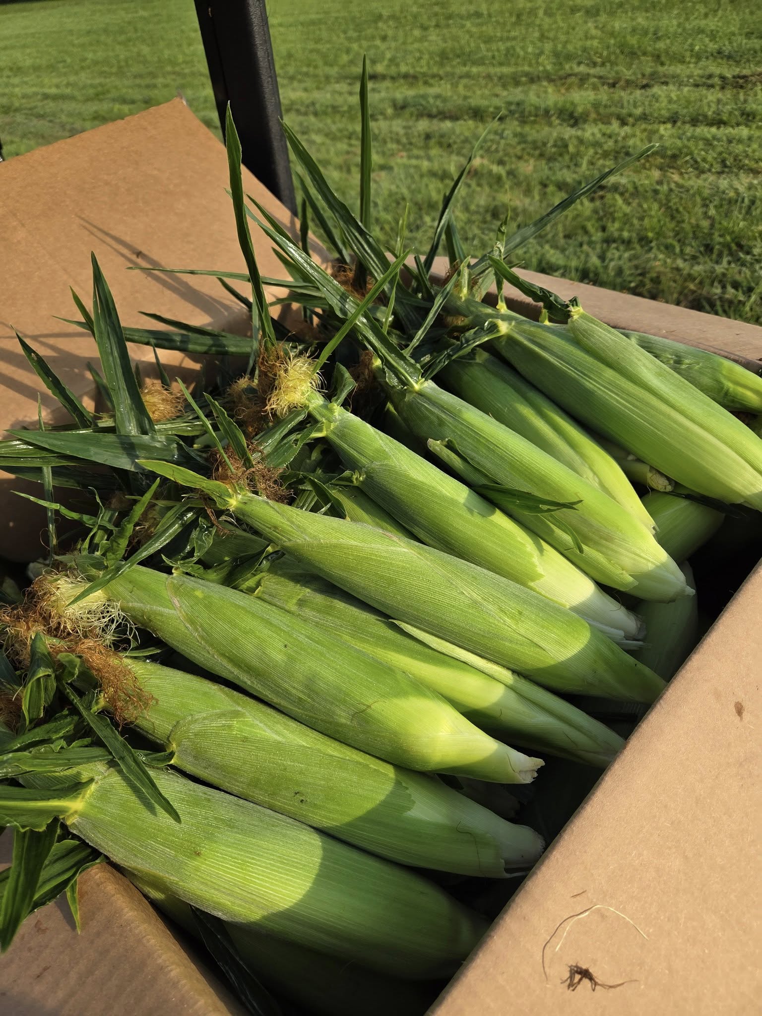 Schlemmer Farm Services Laddonia