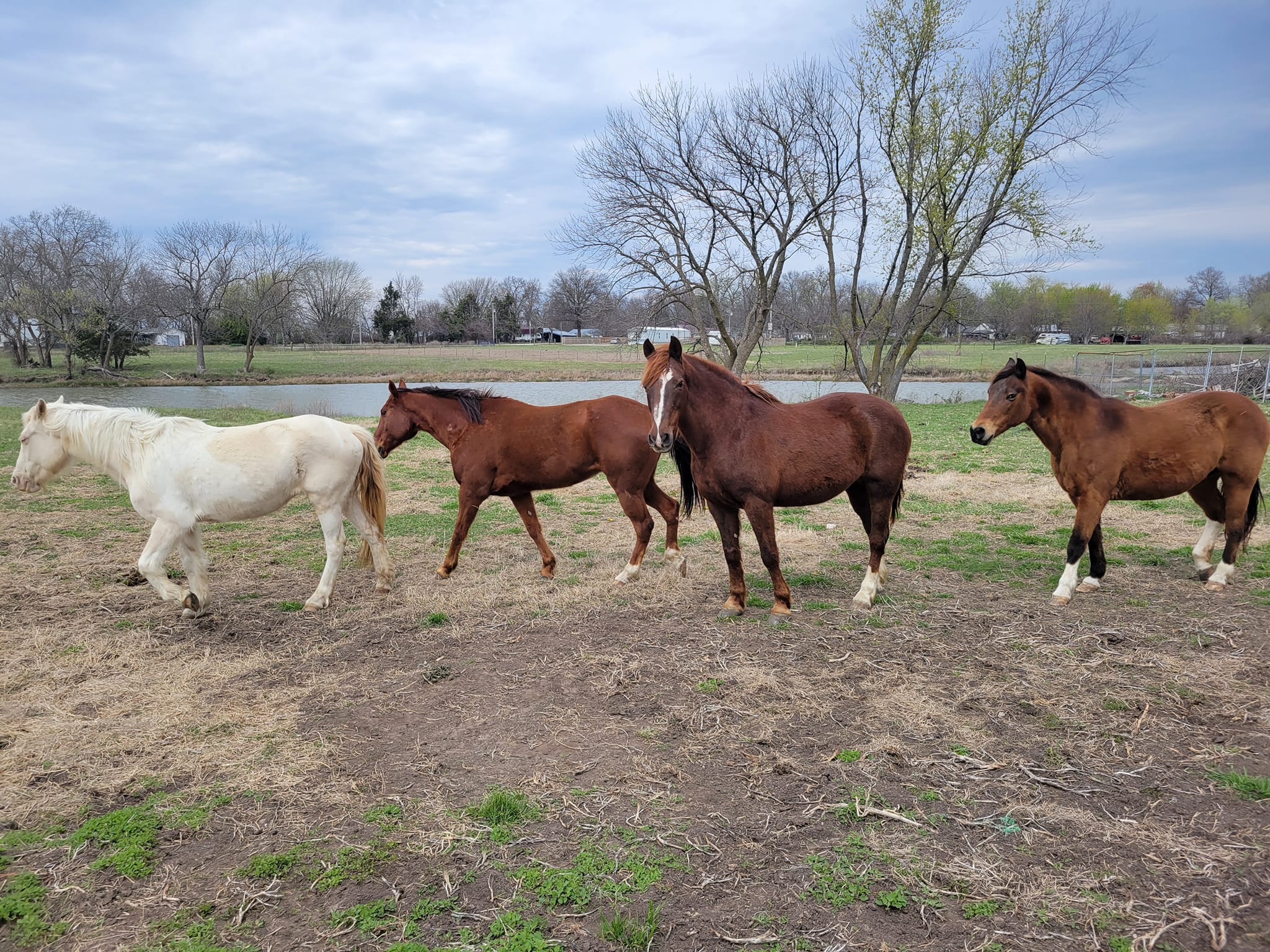 Sprenkle Family Farms LLC 531 North Hwy W, Lamar Missouri 64759