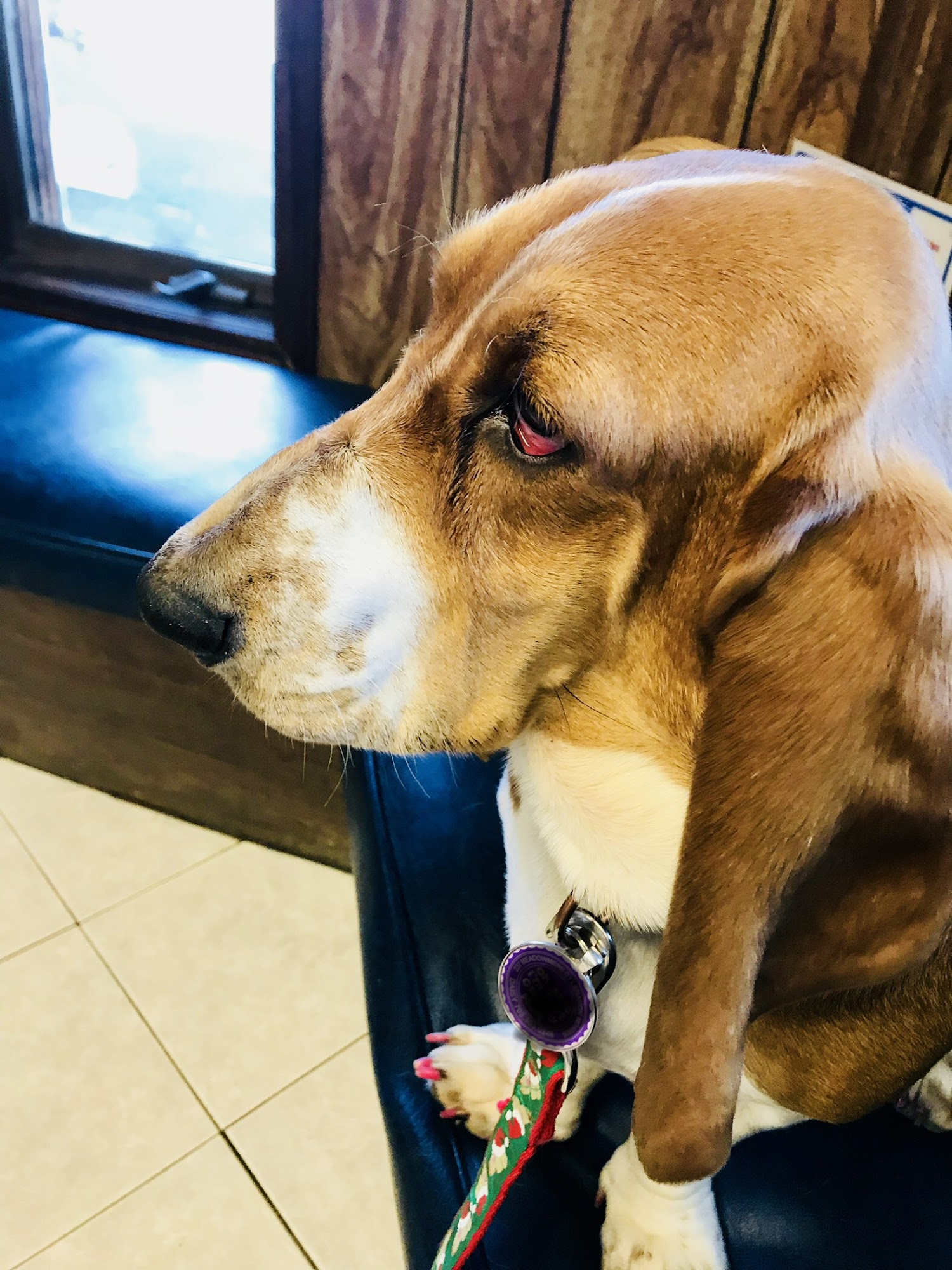 Terra Veterinary Services Inc Lebanon