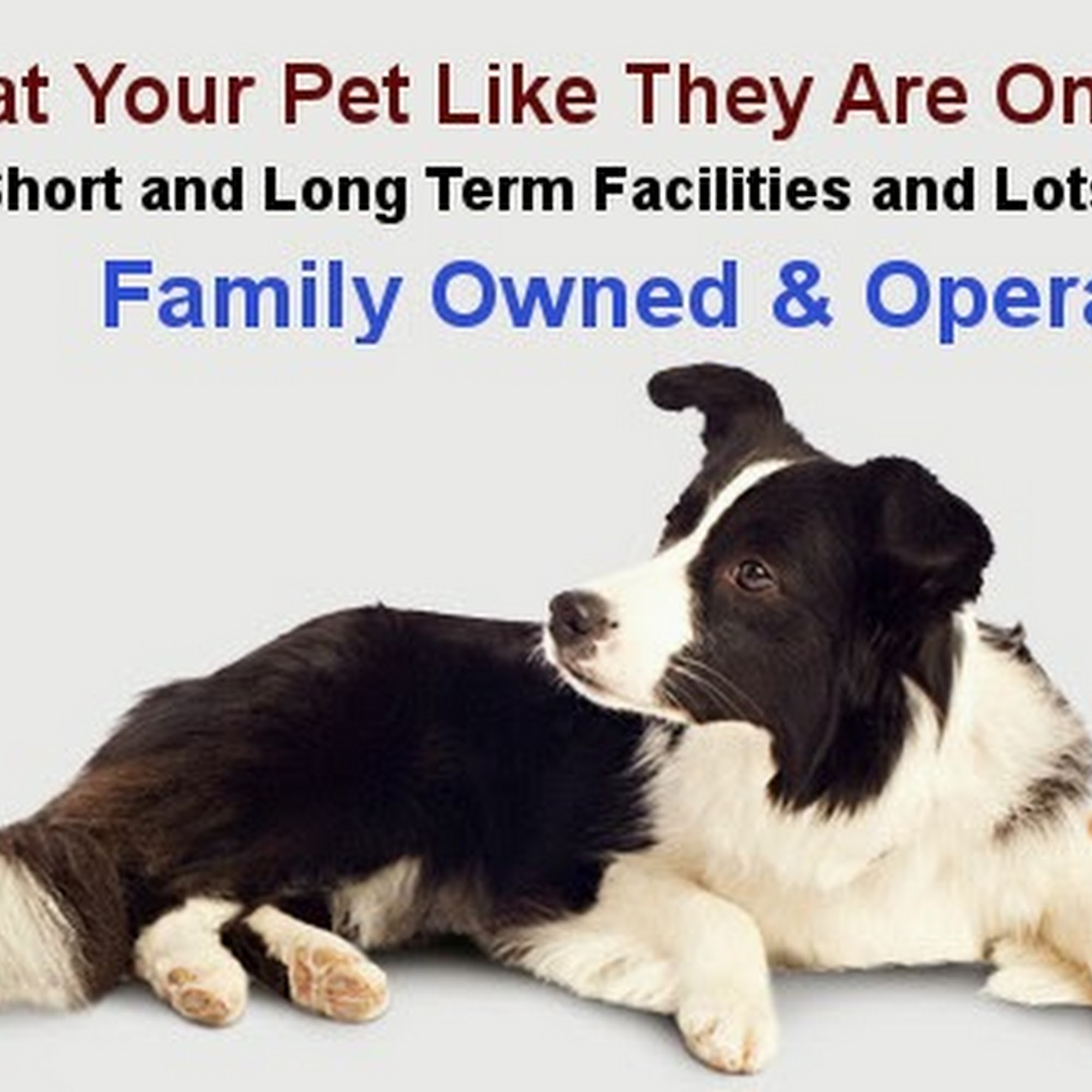 Ozark Hills K-9 Inn Lebanon