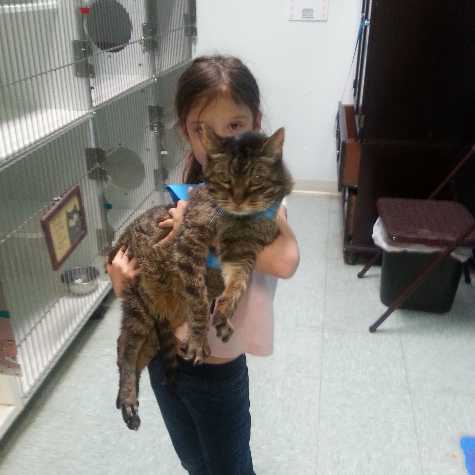 Southport Animal Hospital Lee's Summit