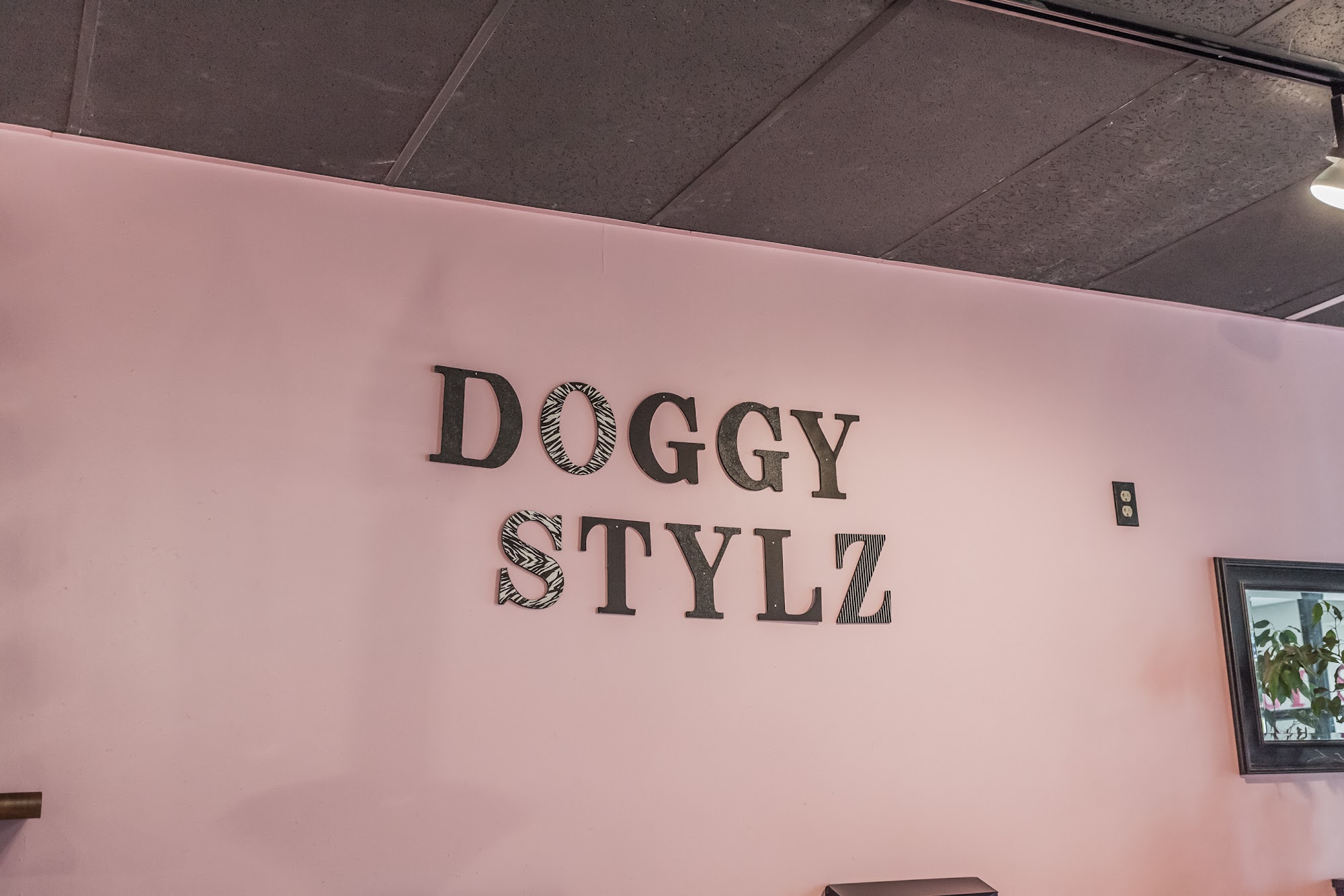 Doggy Stylz Grooming Lee's Summit