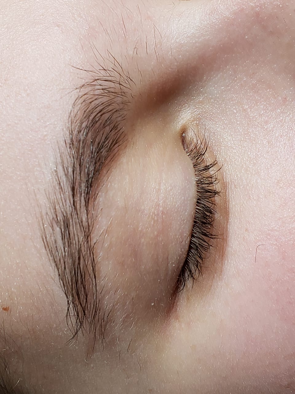 Brow Threading $14 Eyebrow Tinitng