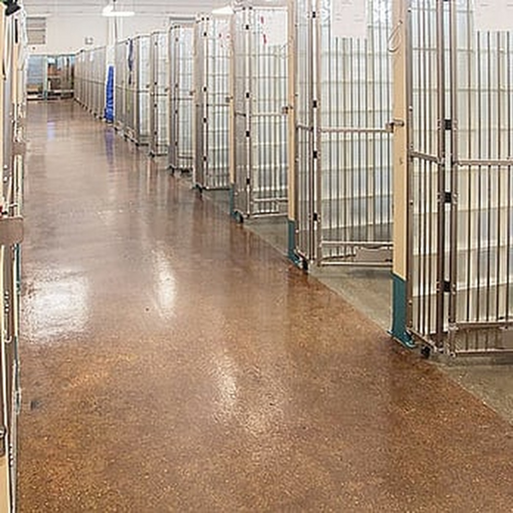 Pete & Mac's Recreational Resort Lee's Summit