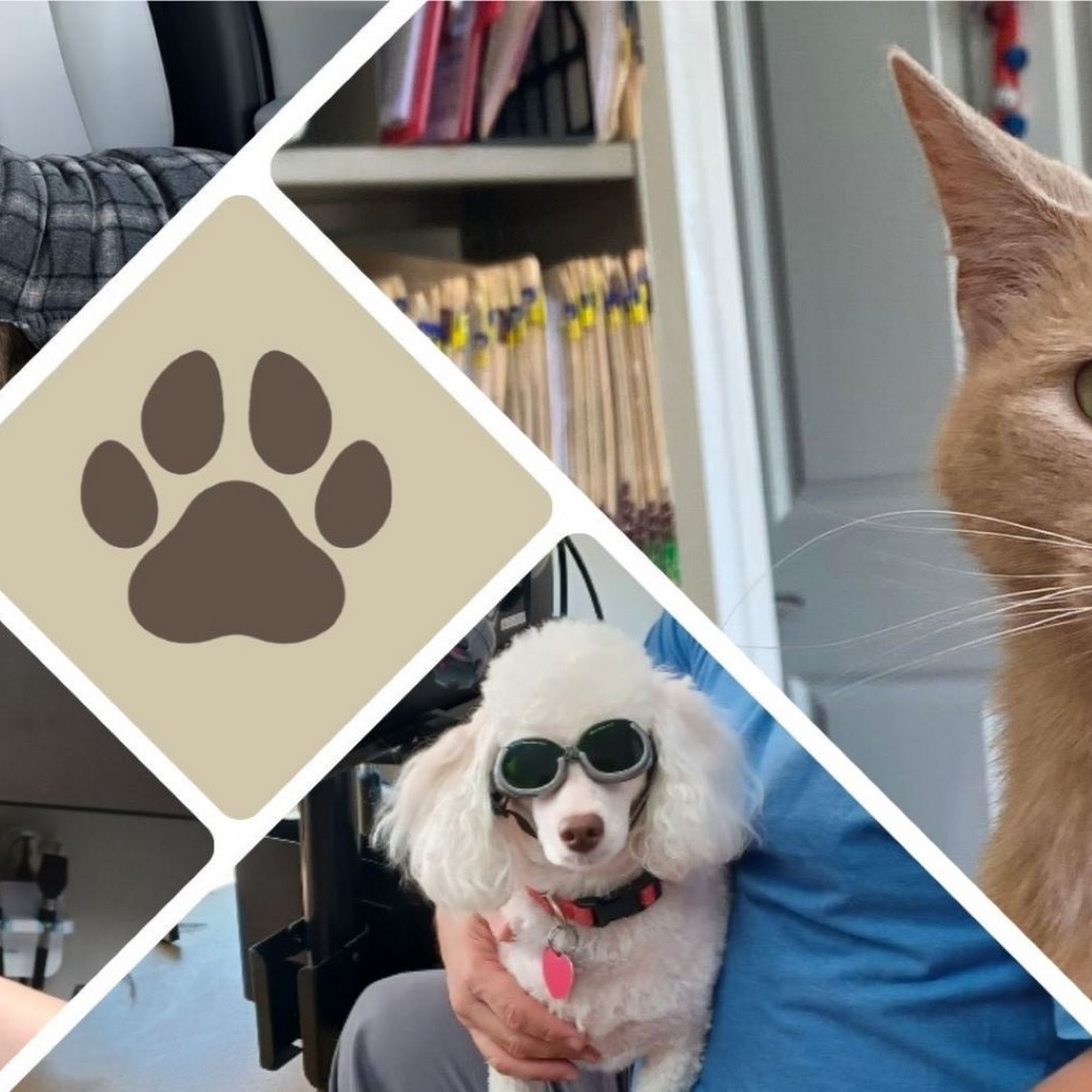 Crossroads Animal Hospital Liberty