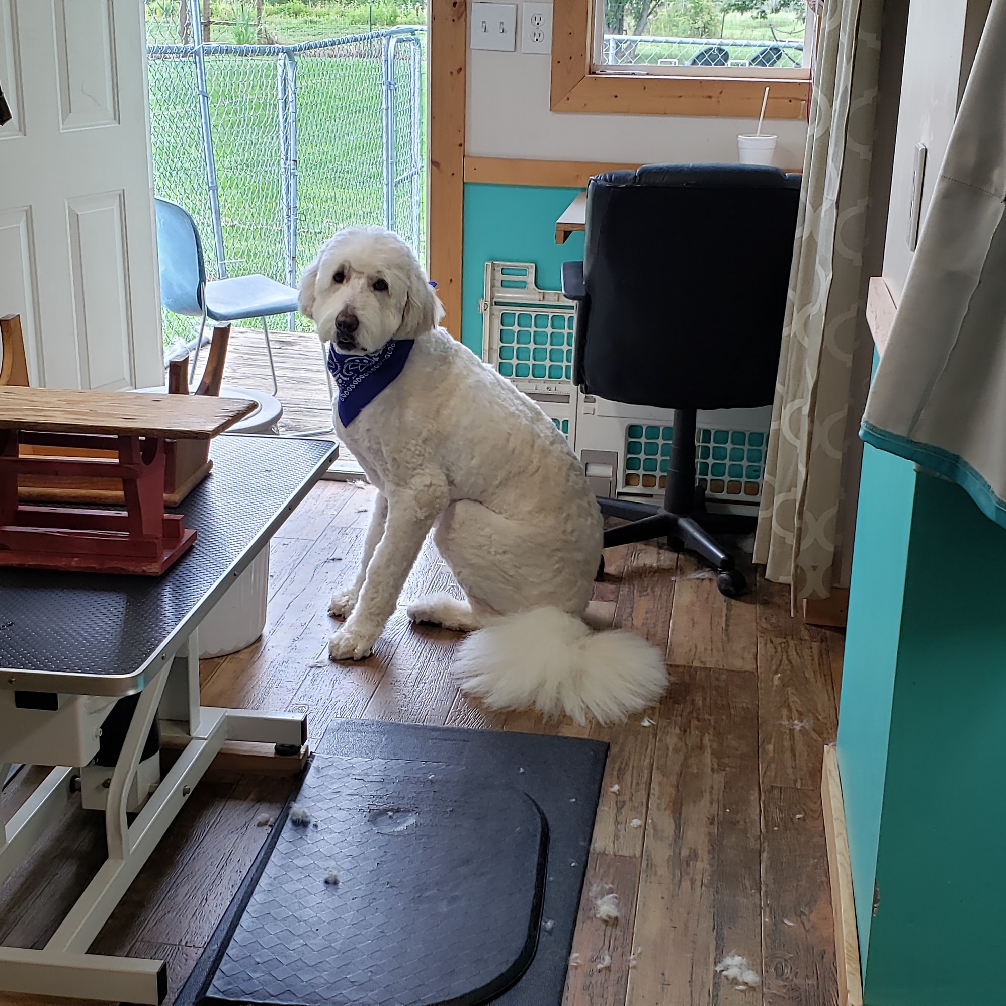 Cathy's Pet Parlor, LLC Macon