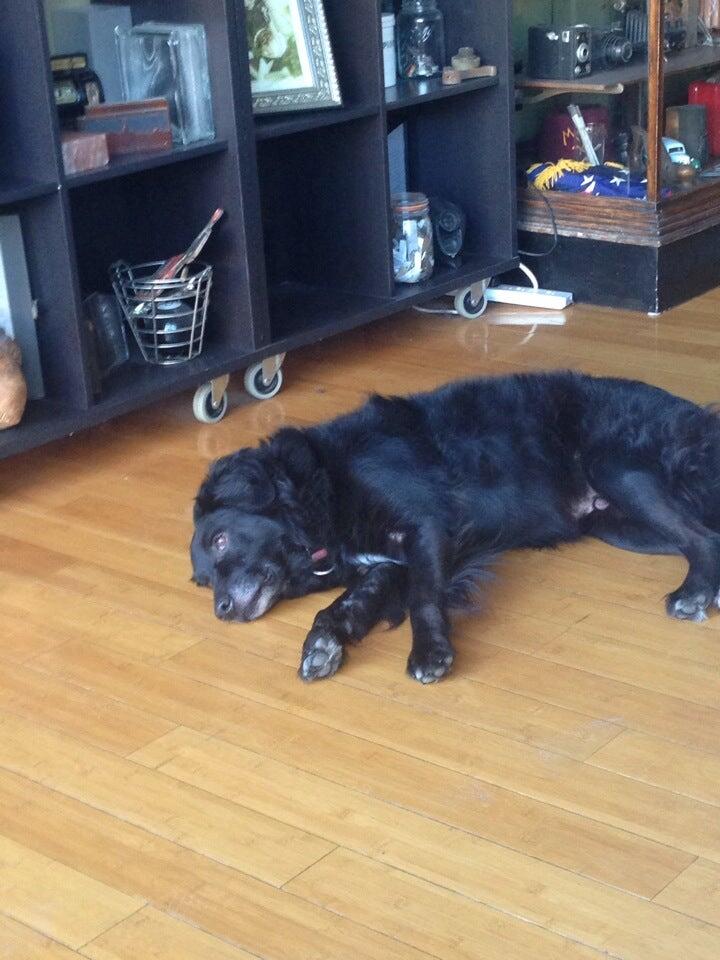 Photo credit: nextdoor