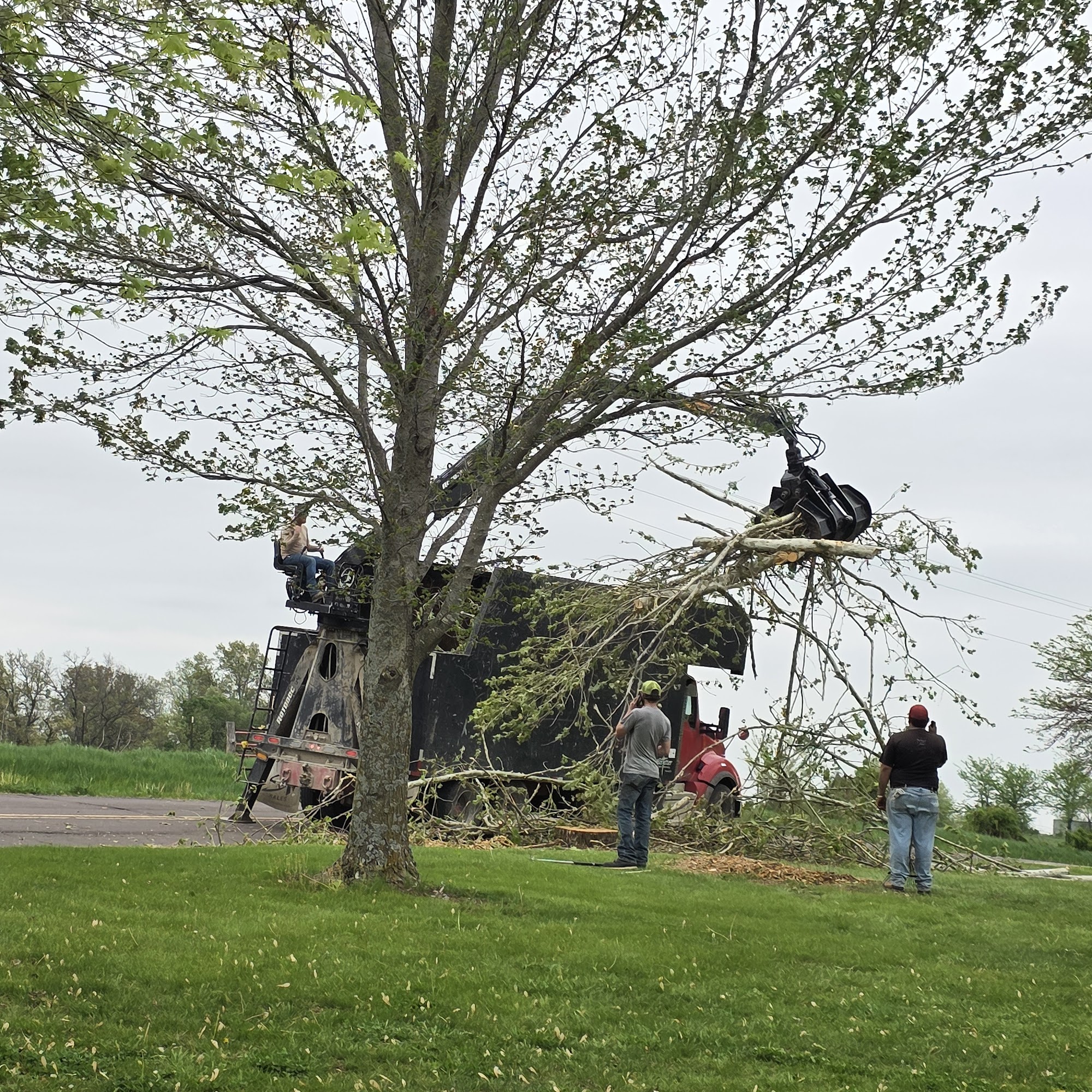 Rick Hicks Tree Care Termite Control