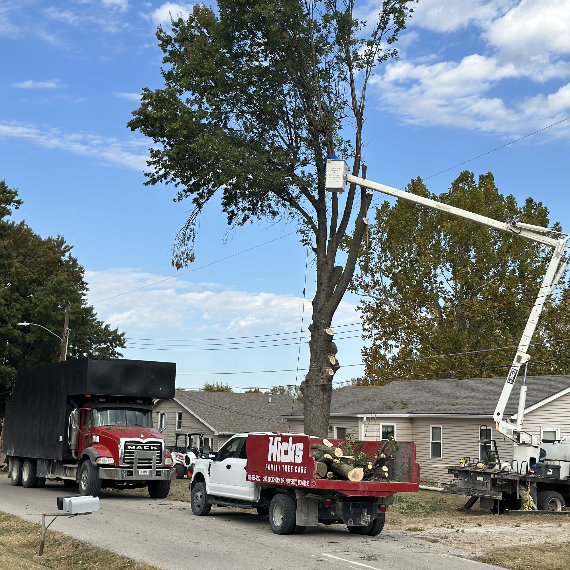 Rick Hicks Tree Care Termite Control