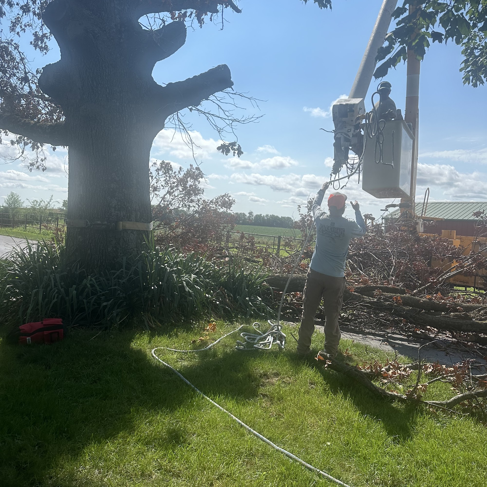 Rick Hicks Tree Care Termite Control