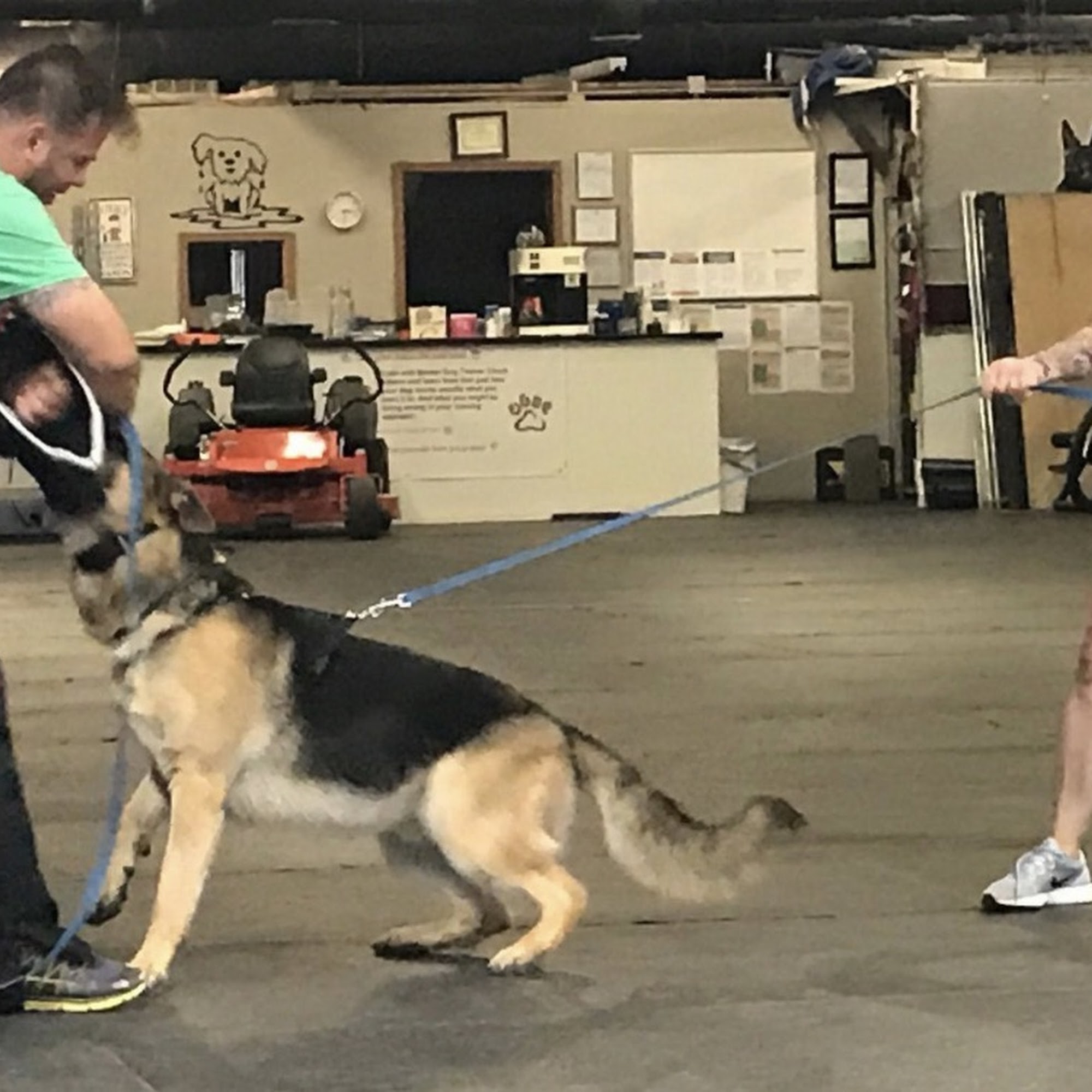 Pap-Paws Dog Training Center Marshfield