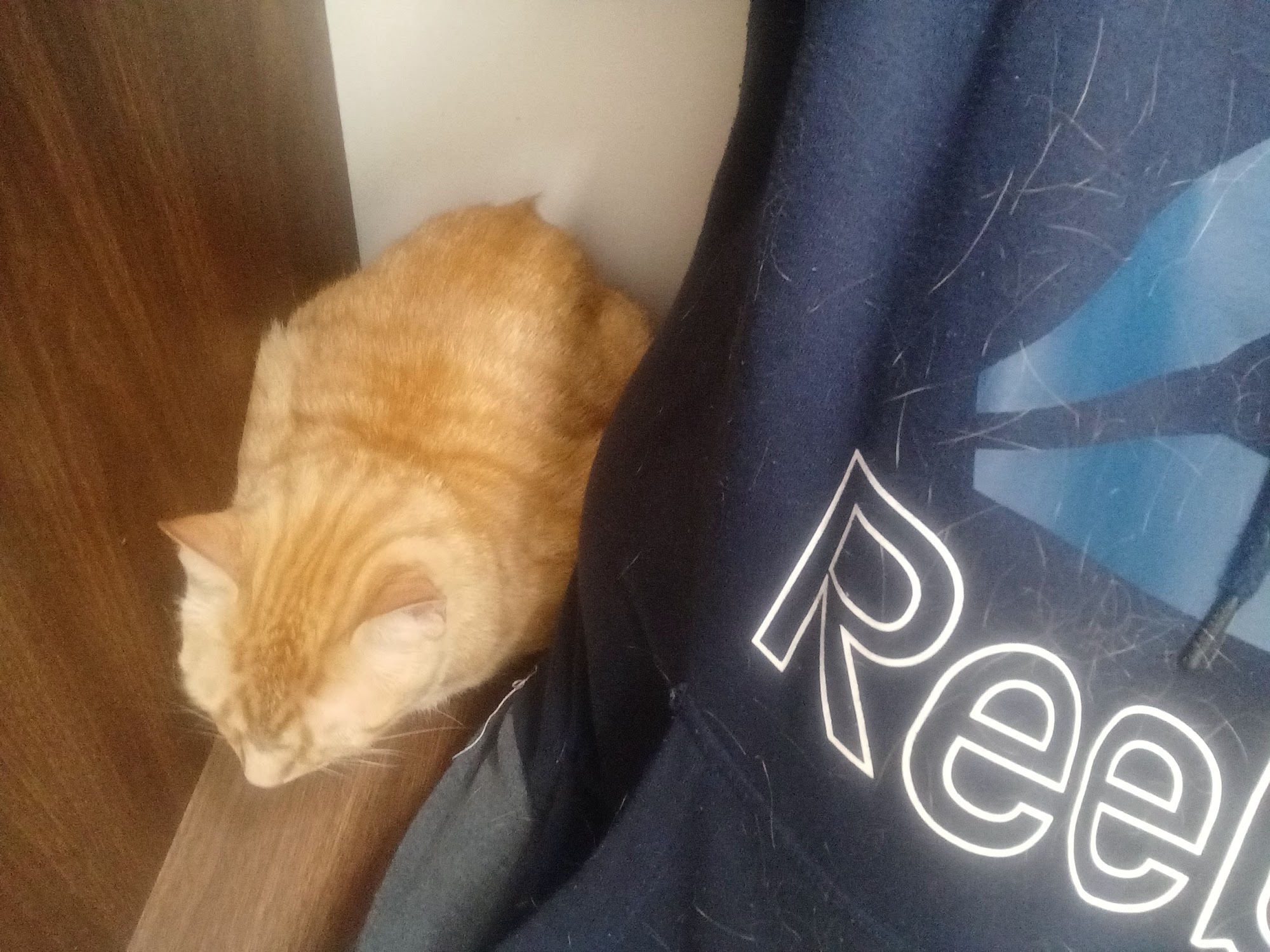 Sugar Creek Veterinary Services Moberly