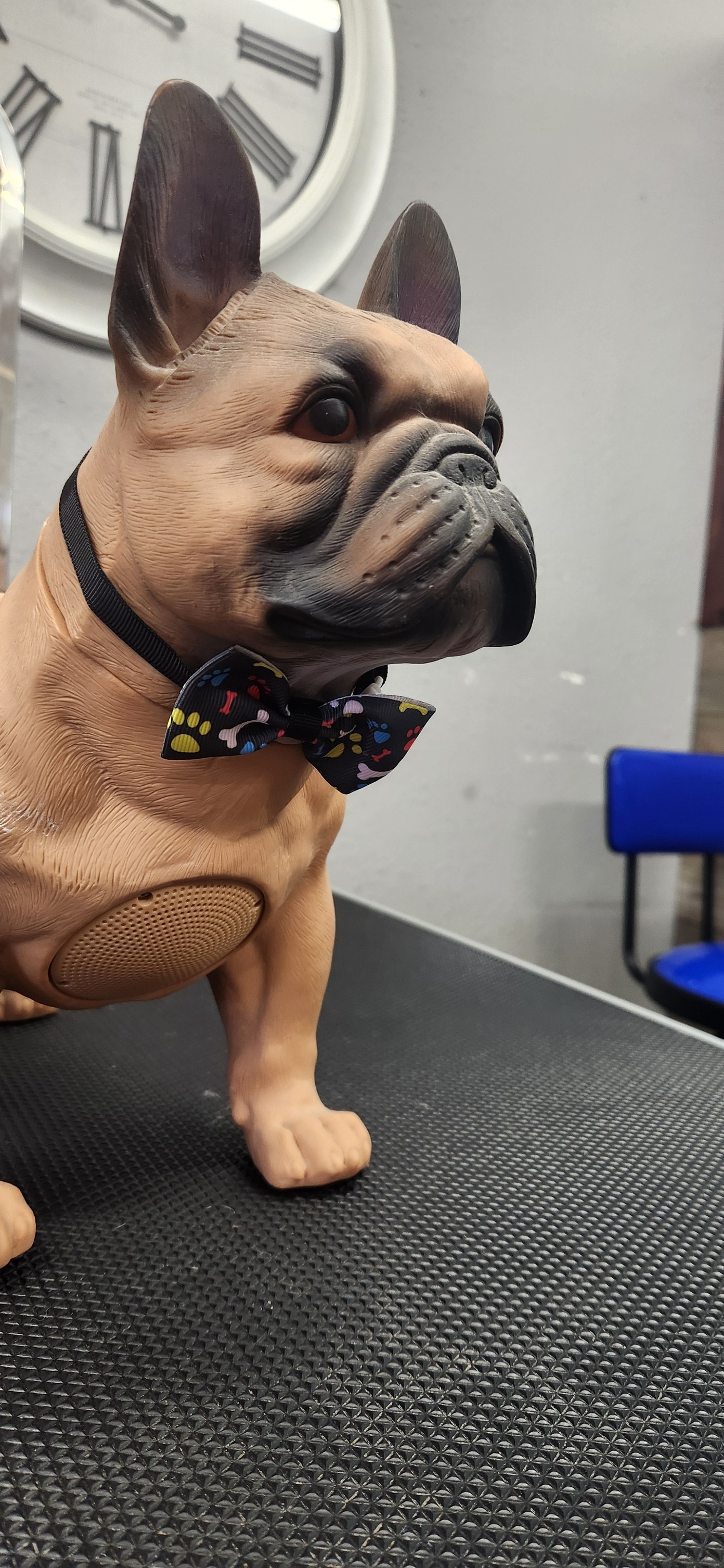 The Groom Shack Mountain Grove