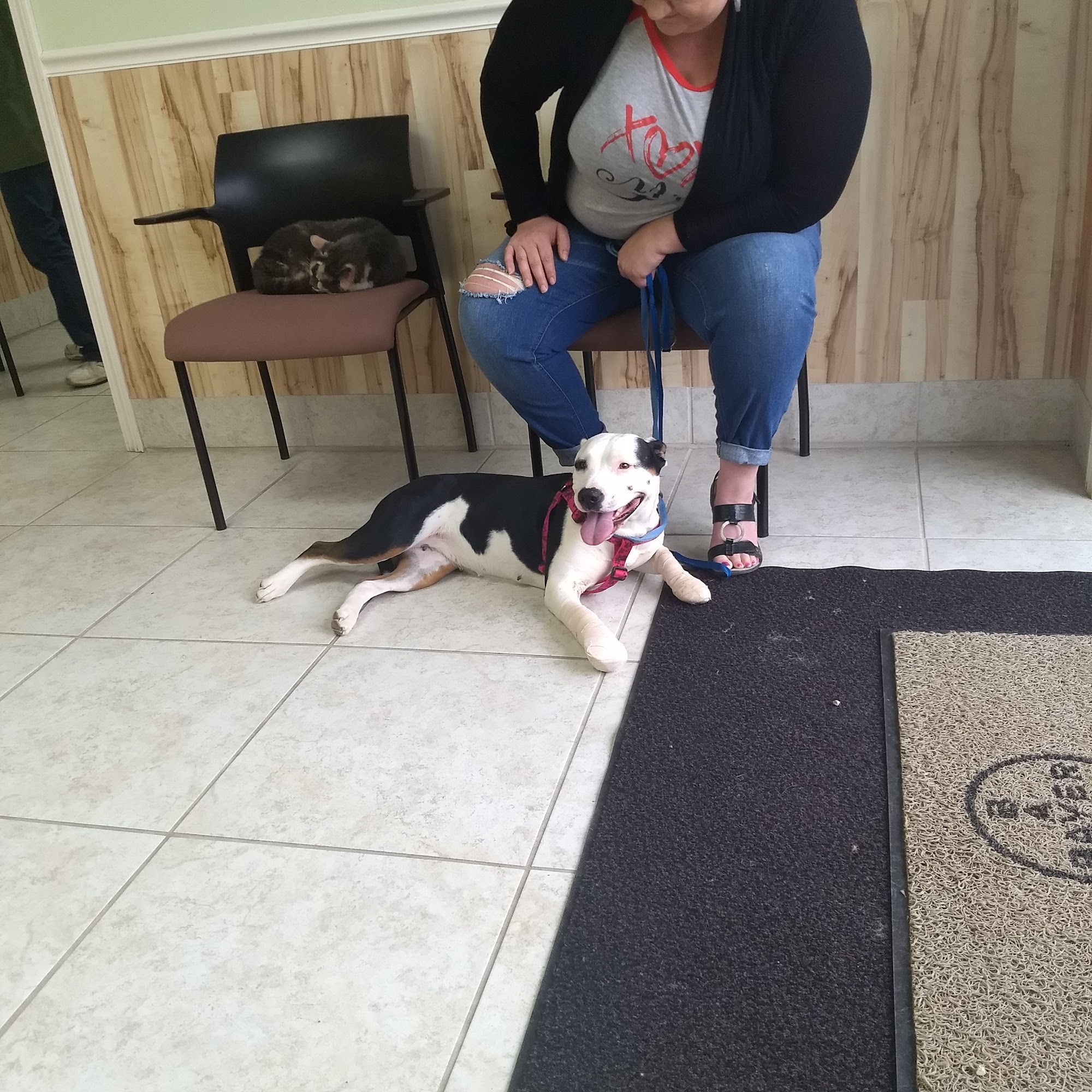 Mountain View Animal Clinic Mountain View