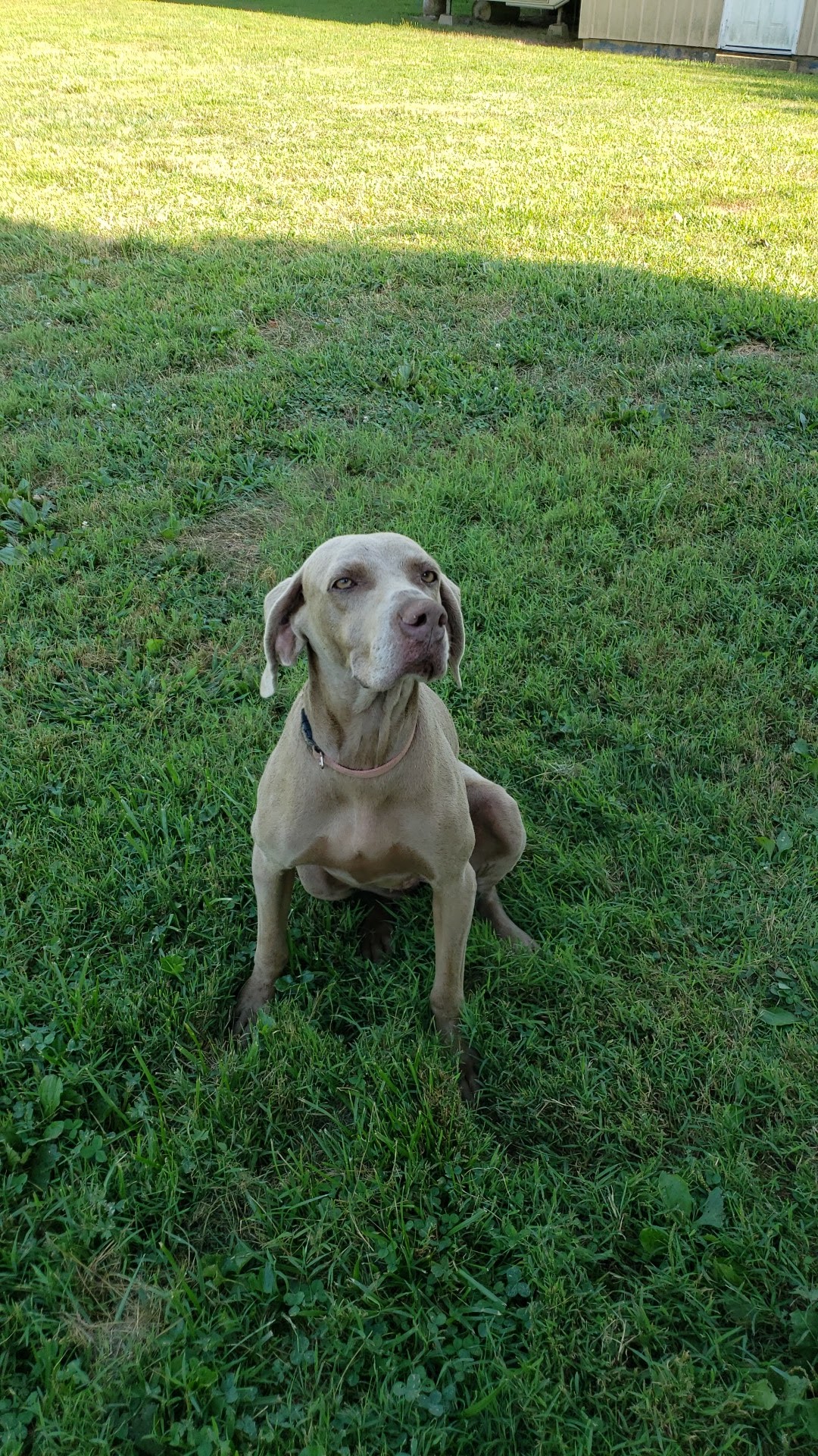 Barn Hollow Veterinary Services Mountain View