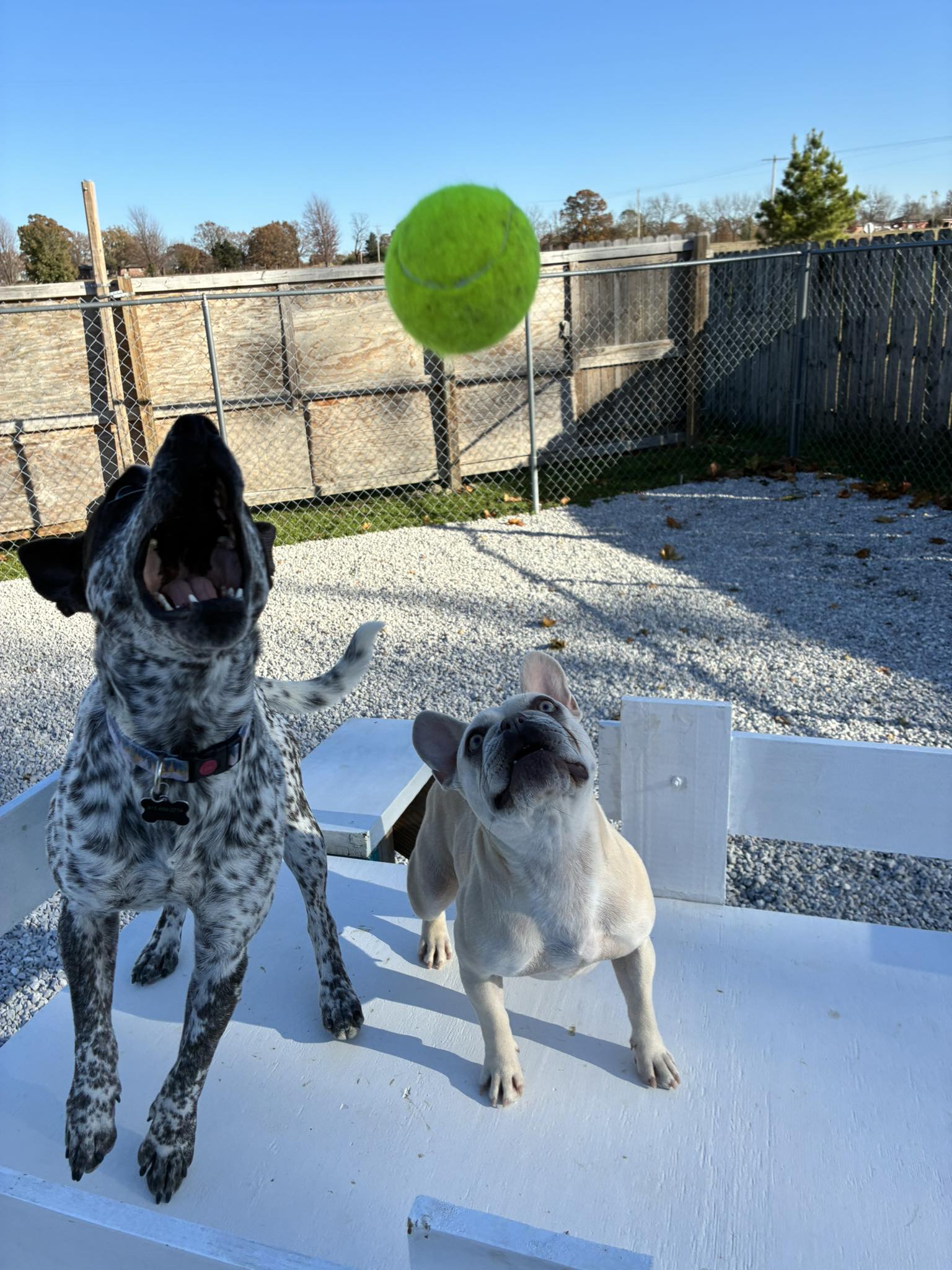 Gateway Getaway Pets, LLC. Neosho