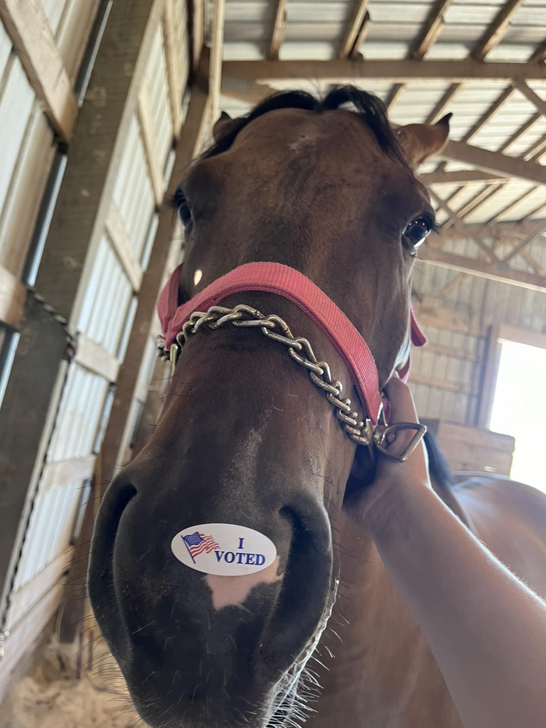 Wellspring Therapeutics