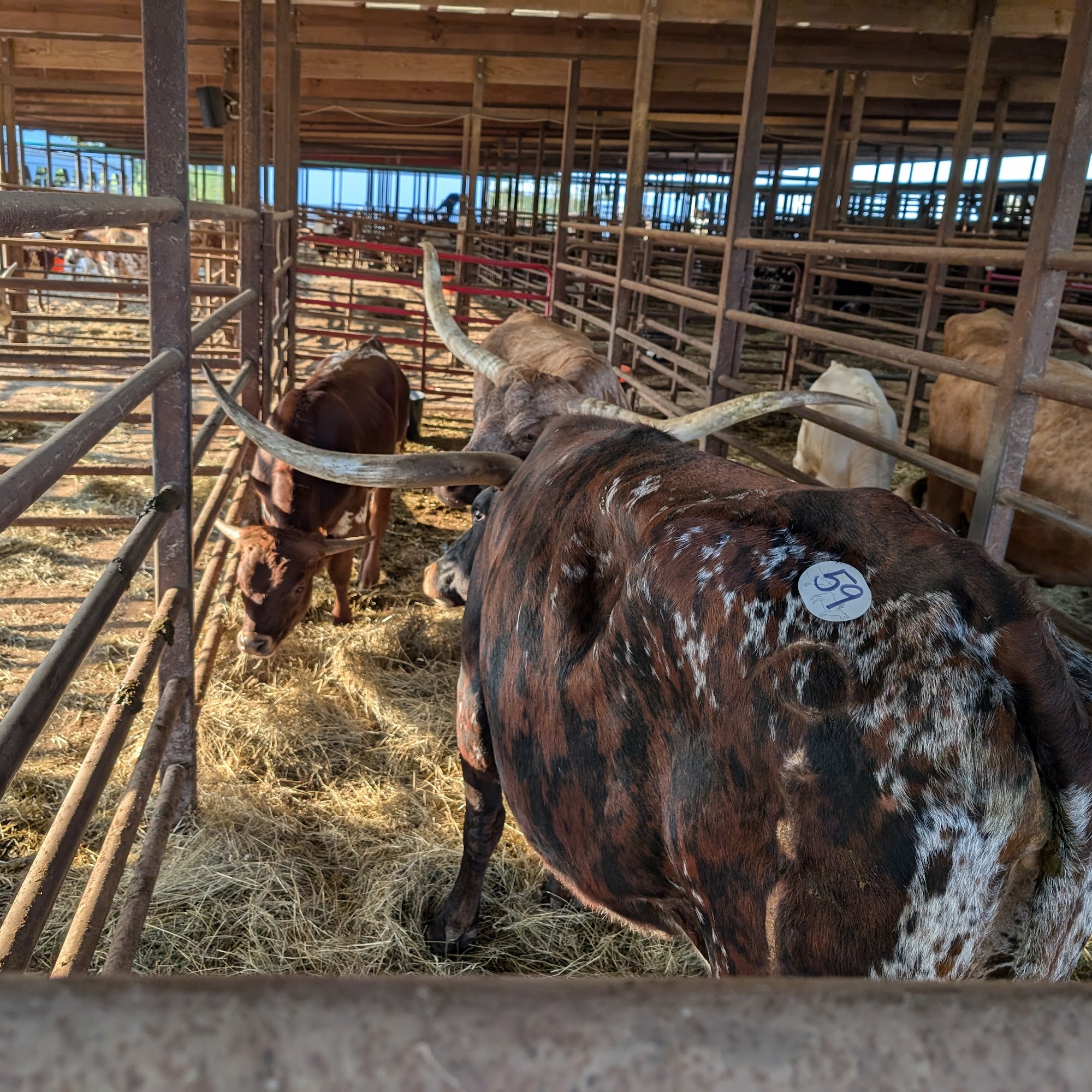 New Cambria Livestock Auction, LLC New Cambria