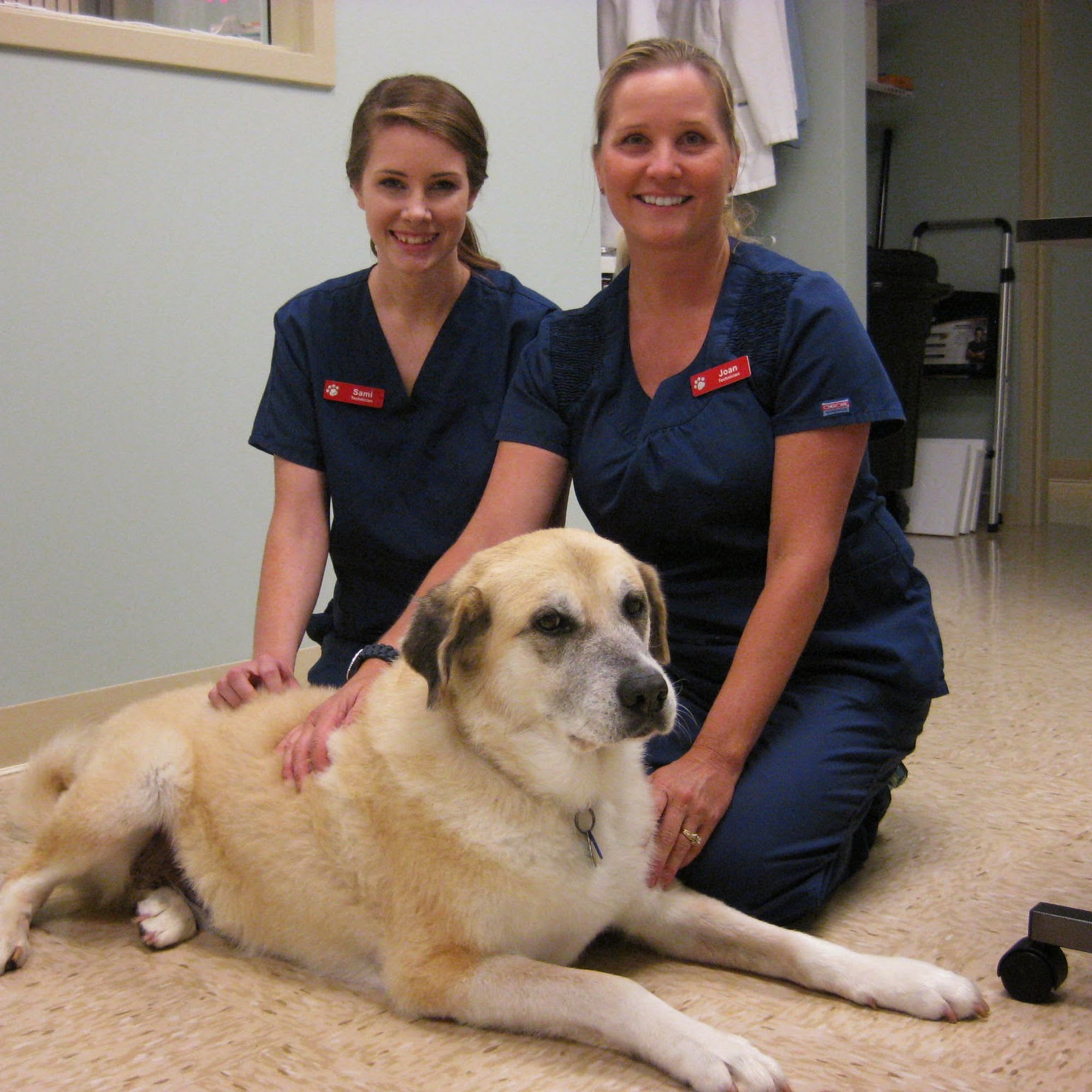 Bryan Road Animal Hospital O'Fallon