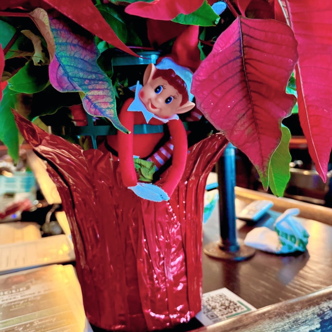 Shortleaf Brewing - Winghaven O'Fallon