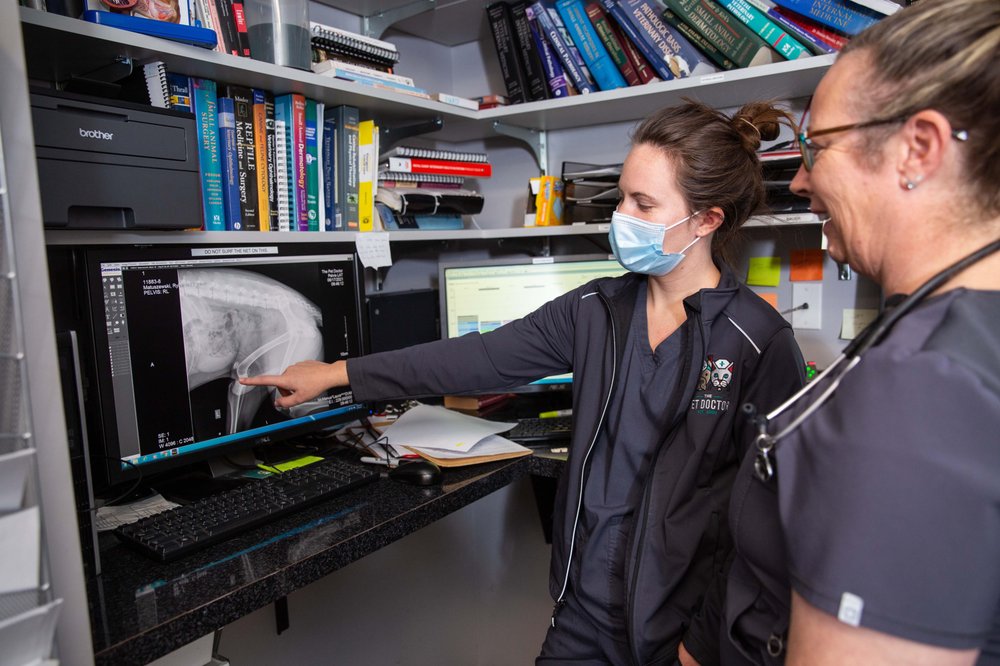 The Pet Doctor - O'Fallon O'Fallon