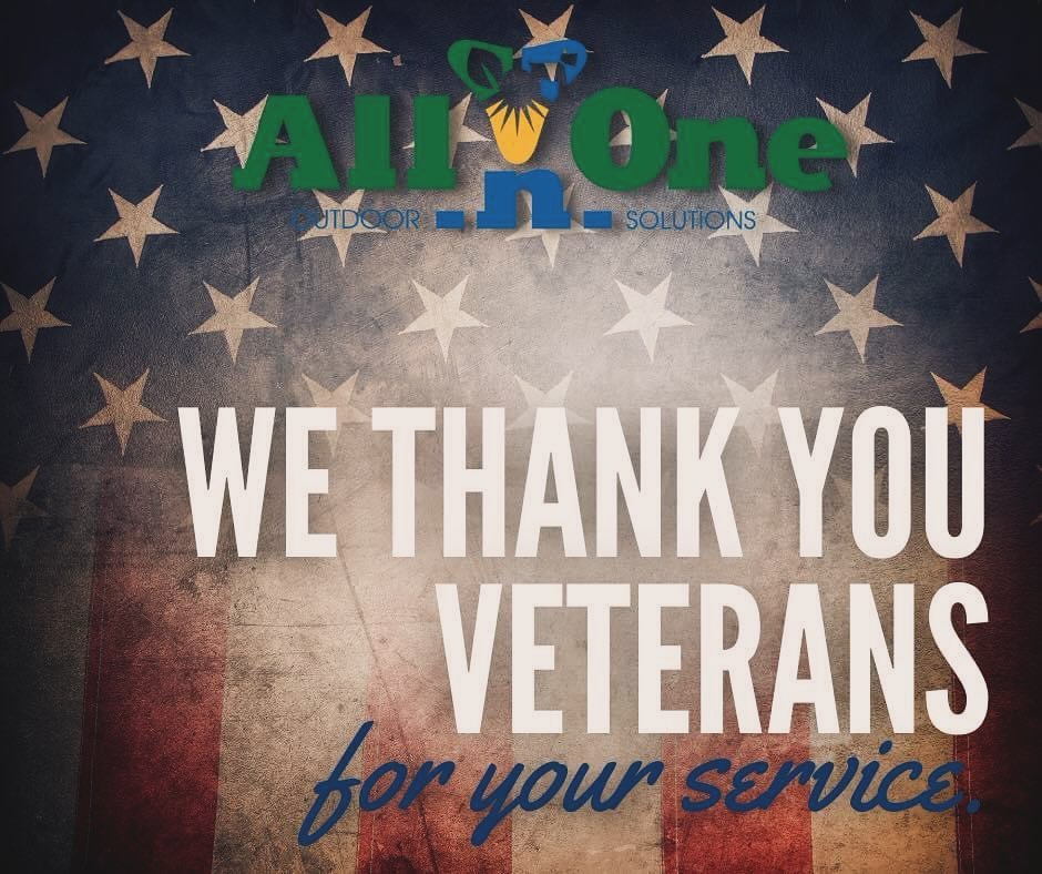 All N One Tree Lawn and Landscaping