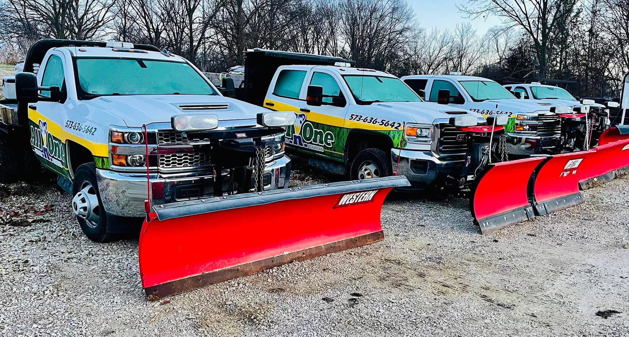 All N One Tree Lawn and Landscaping