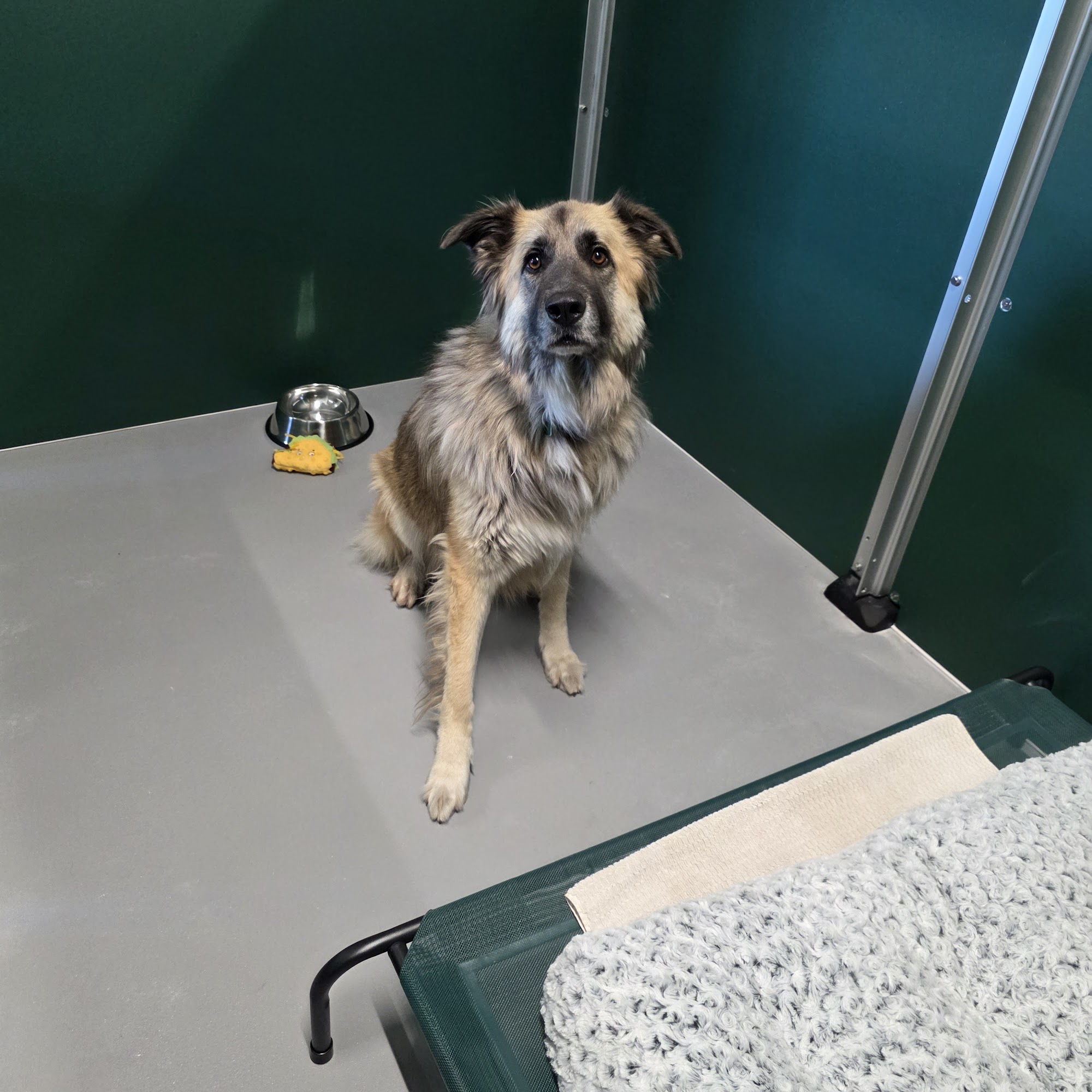 McClure Veterinary Clinic Ozark