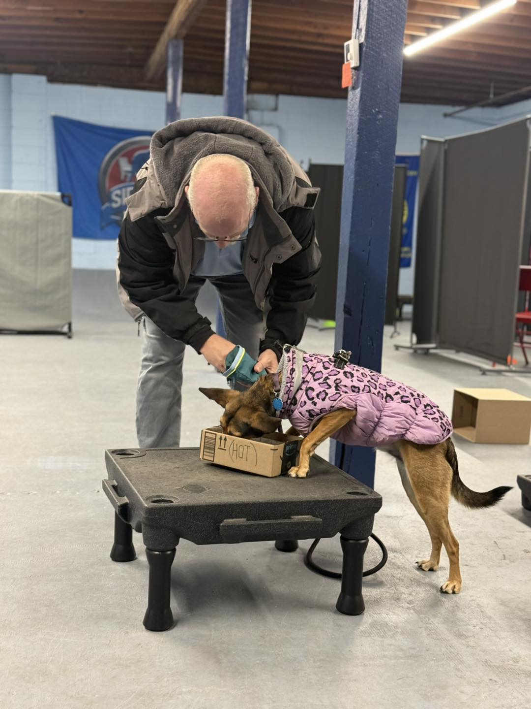 Springfield Side Kick Dog Training, Boarding, Daycare & Grooming Ozark