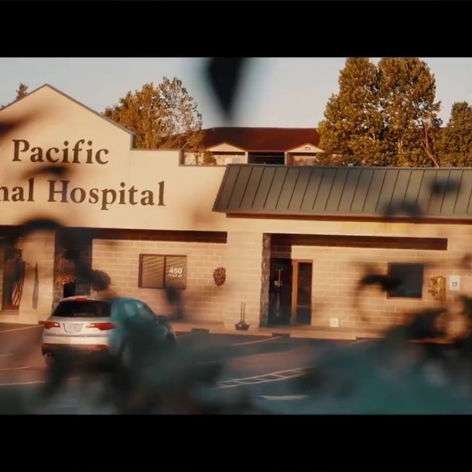 Pacific Animal Hospital Pacific