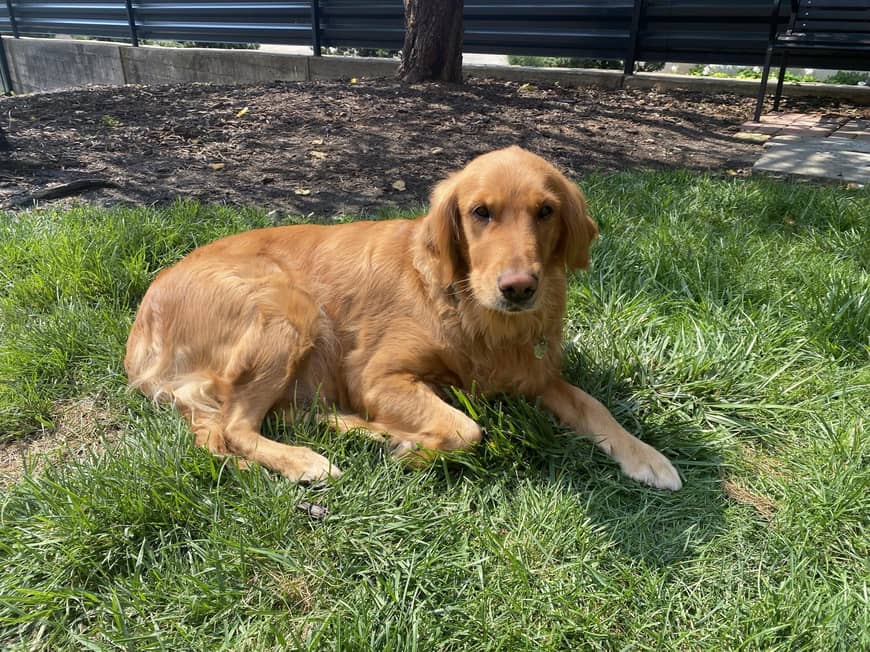 Dirk’s Fund Shelter Pacific