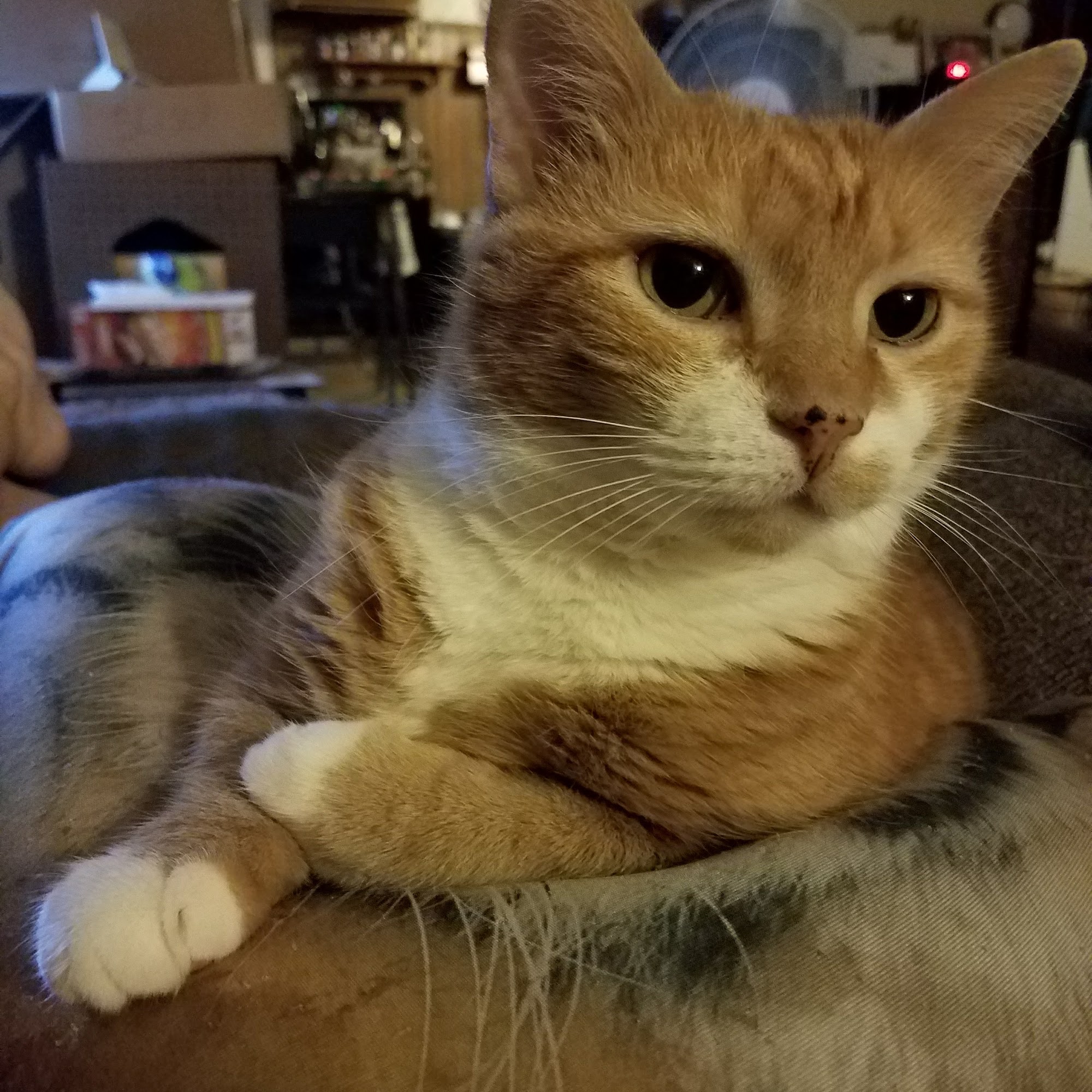 Agri-Med Veterinary Clinic Inc Palmyra