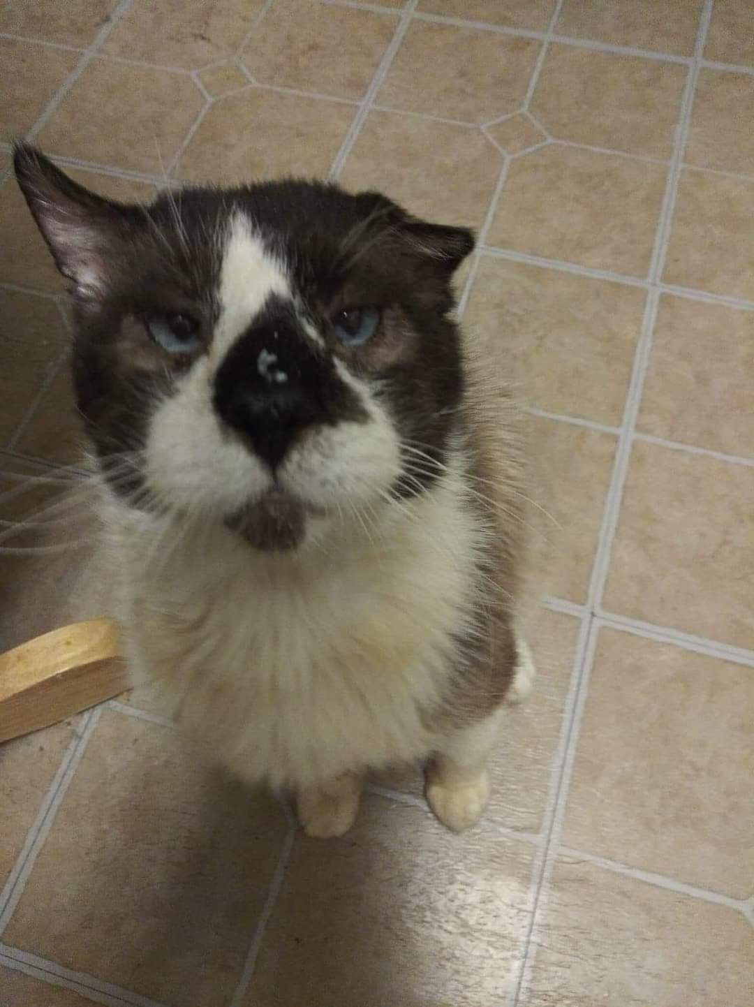 Agri-Med Veterinary Clinic Inc Palmyra