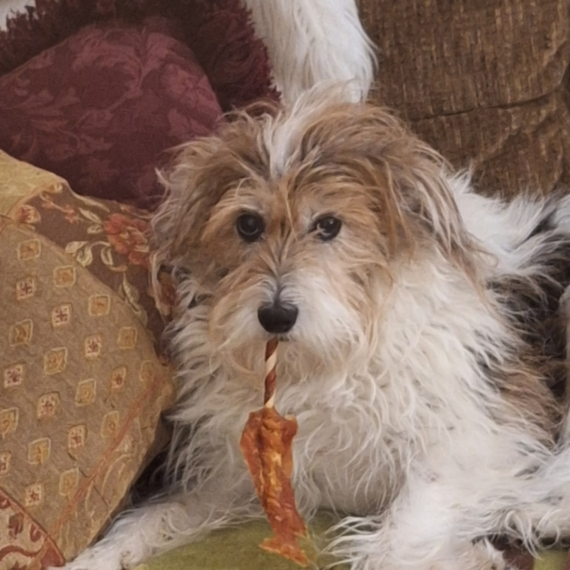 Wommack w N DVM 1205 W Ross St, Palmyra Missouri 63461