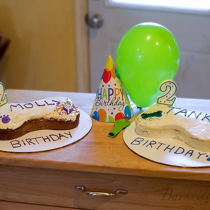 Barkville Bakery Peculiar