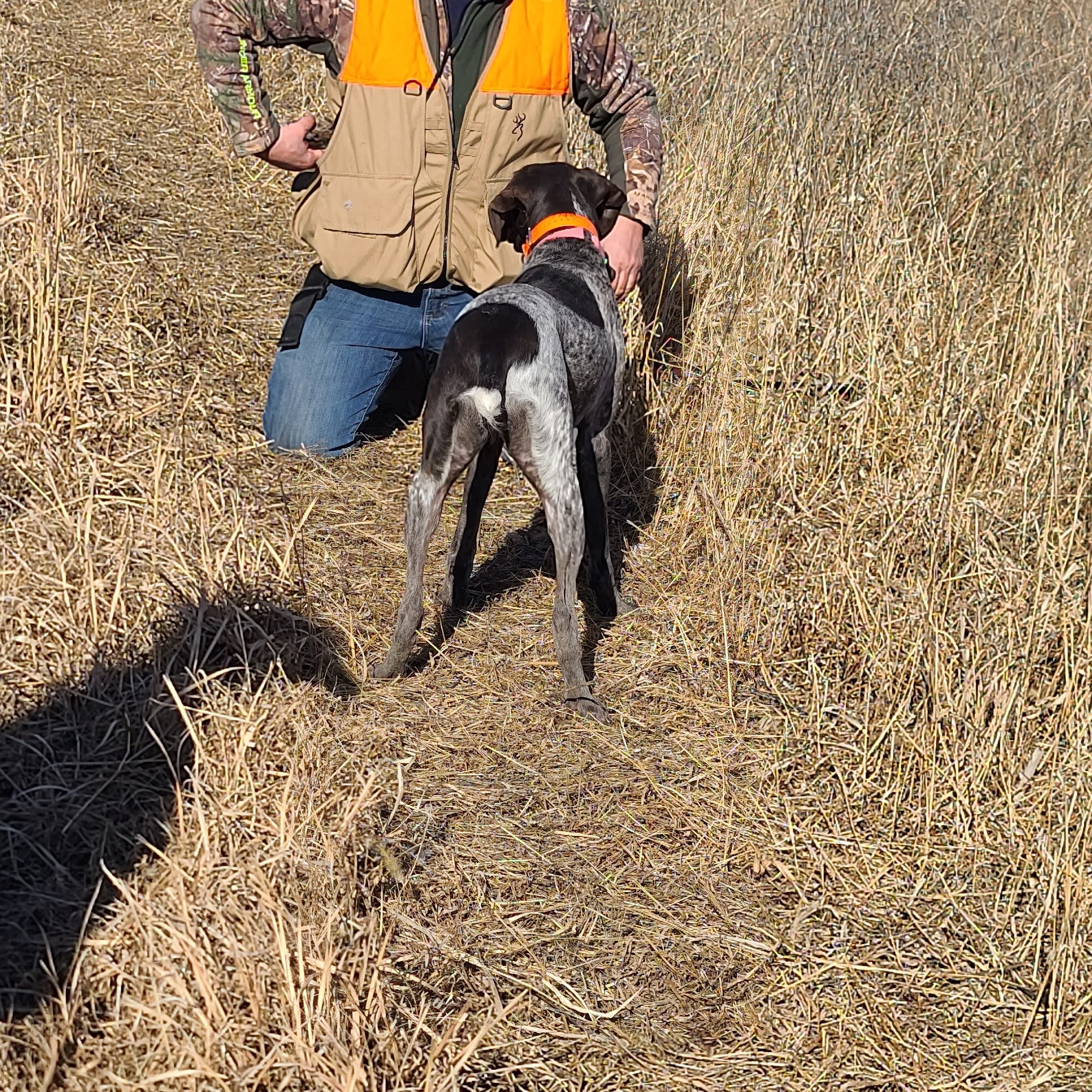 Baiers Den Kennels & Shooting Peculiar