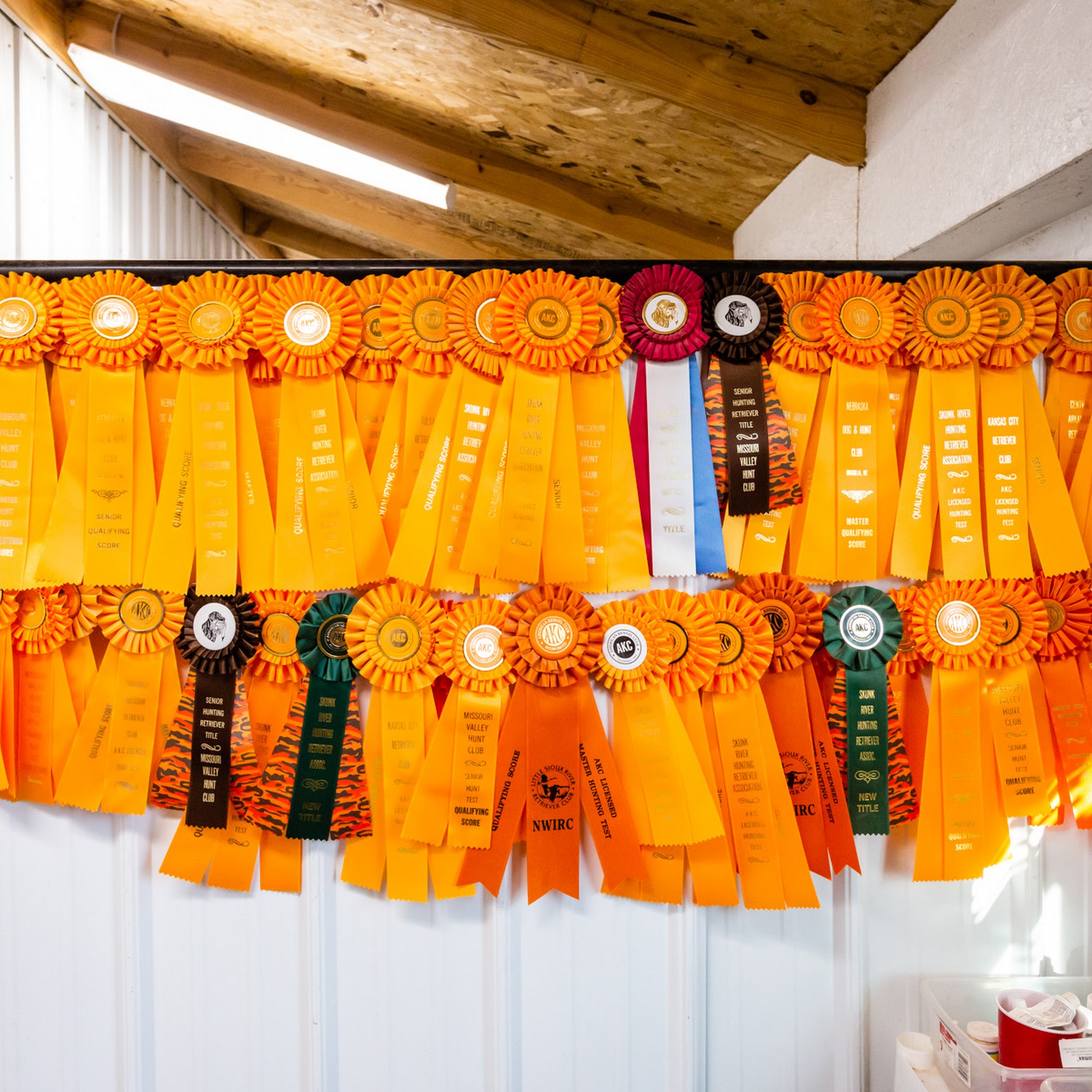 KC Retrievers Plattsburg