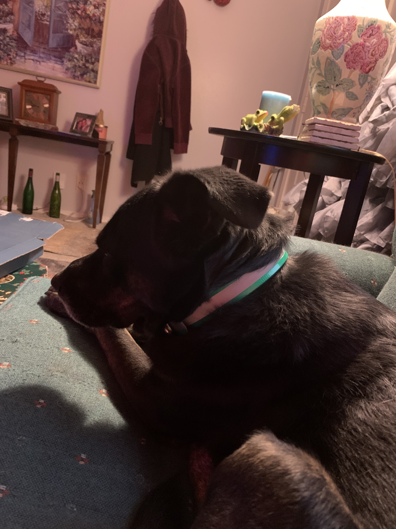 Allen Larry w DVM Potosi