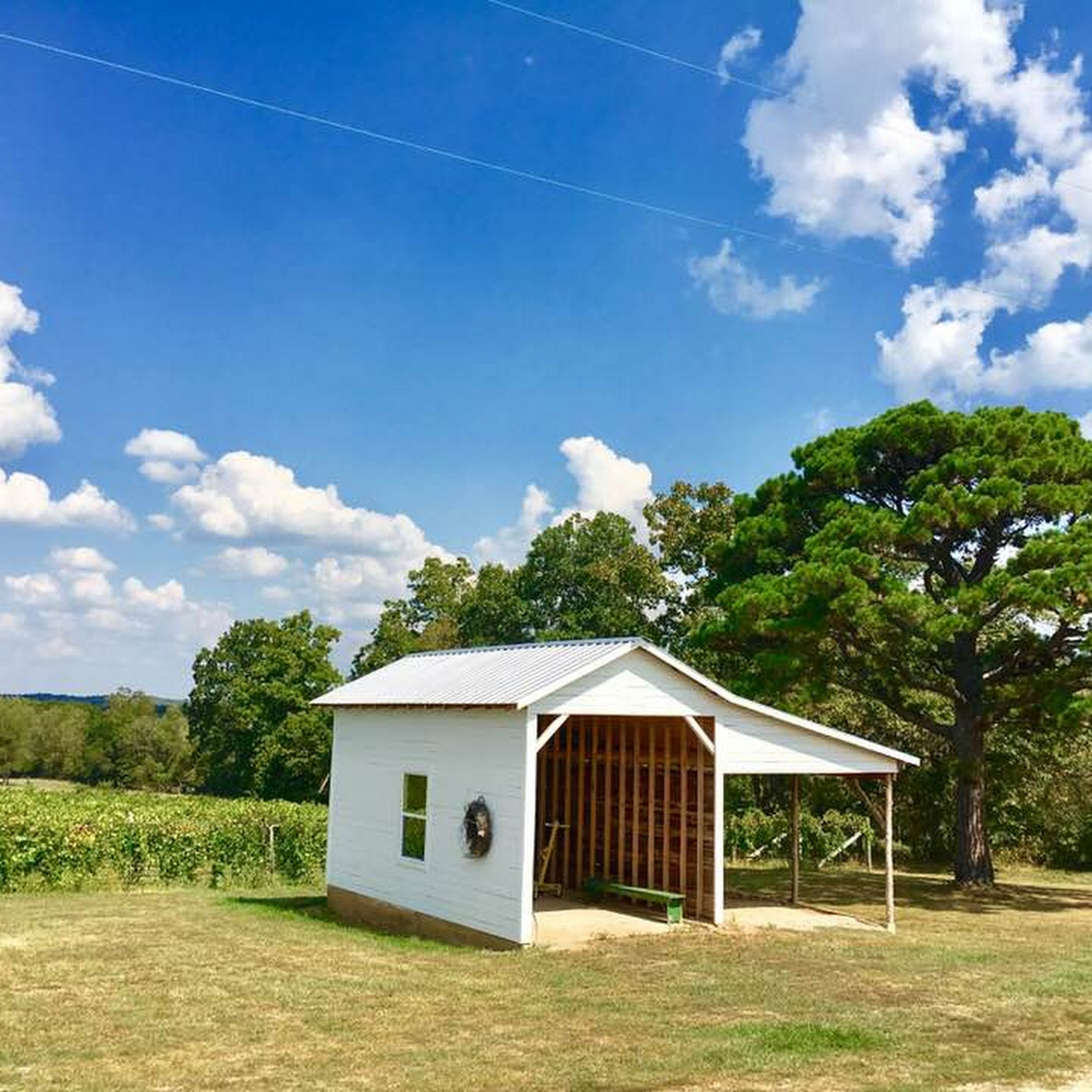 Edg-Clif Vineyard, Winery, Brewery Potosi