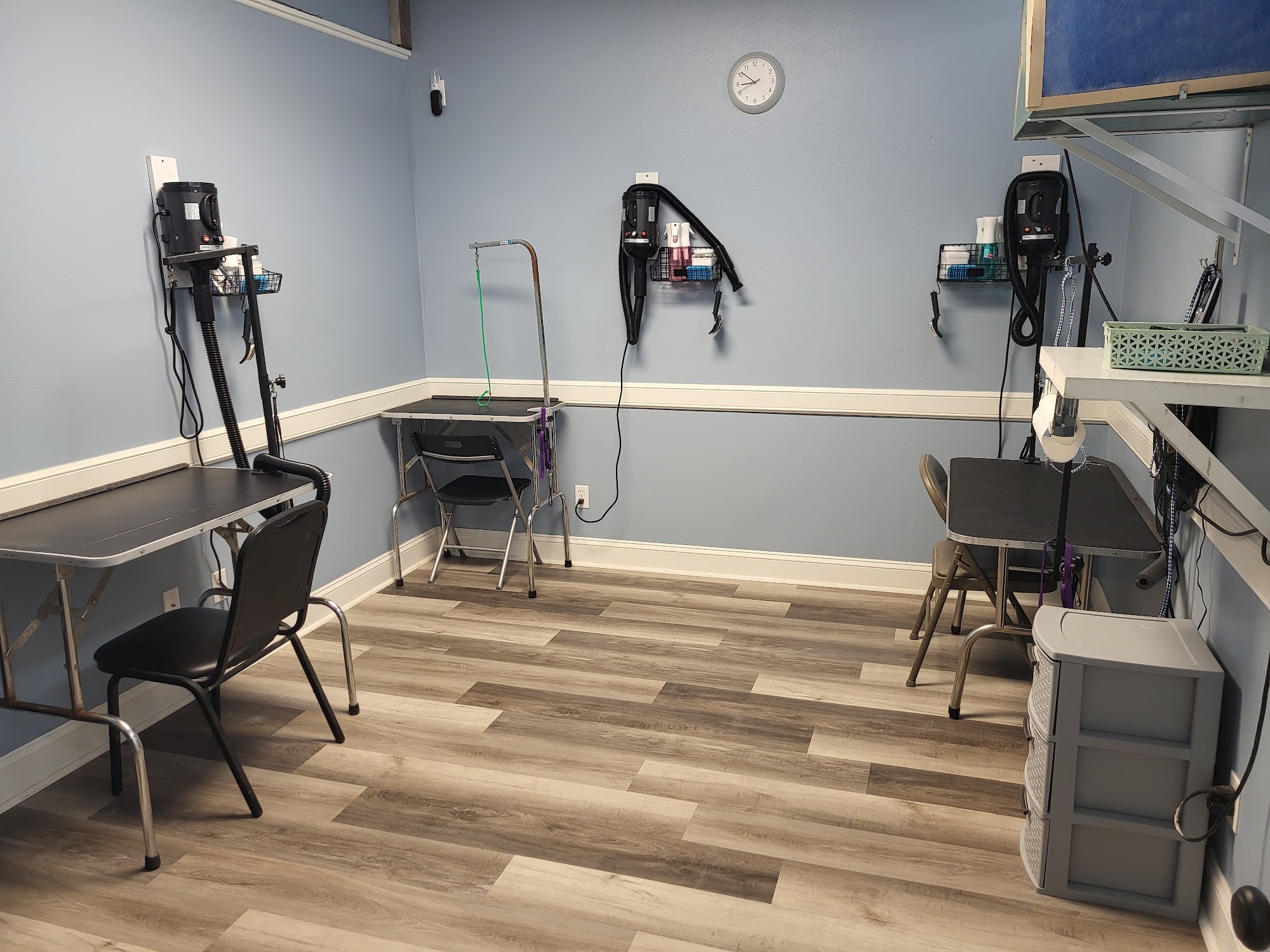 Vanity Fur Dog Grooming Raymore