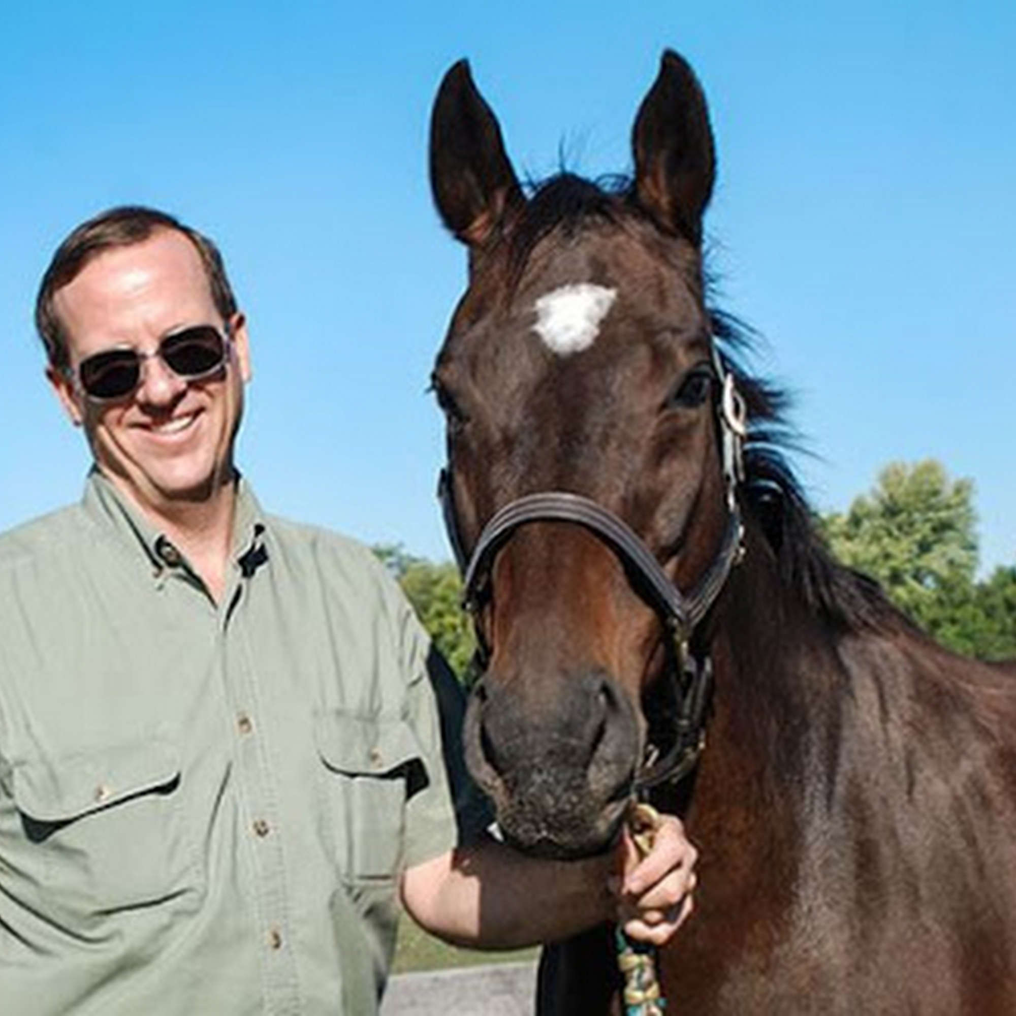 Wagner Horse Doc LLC Raymore