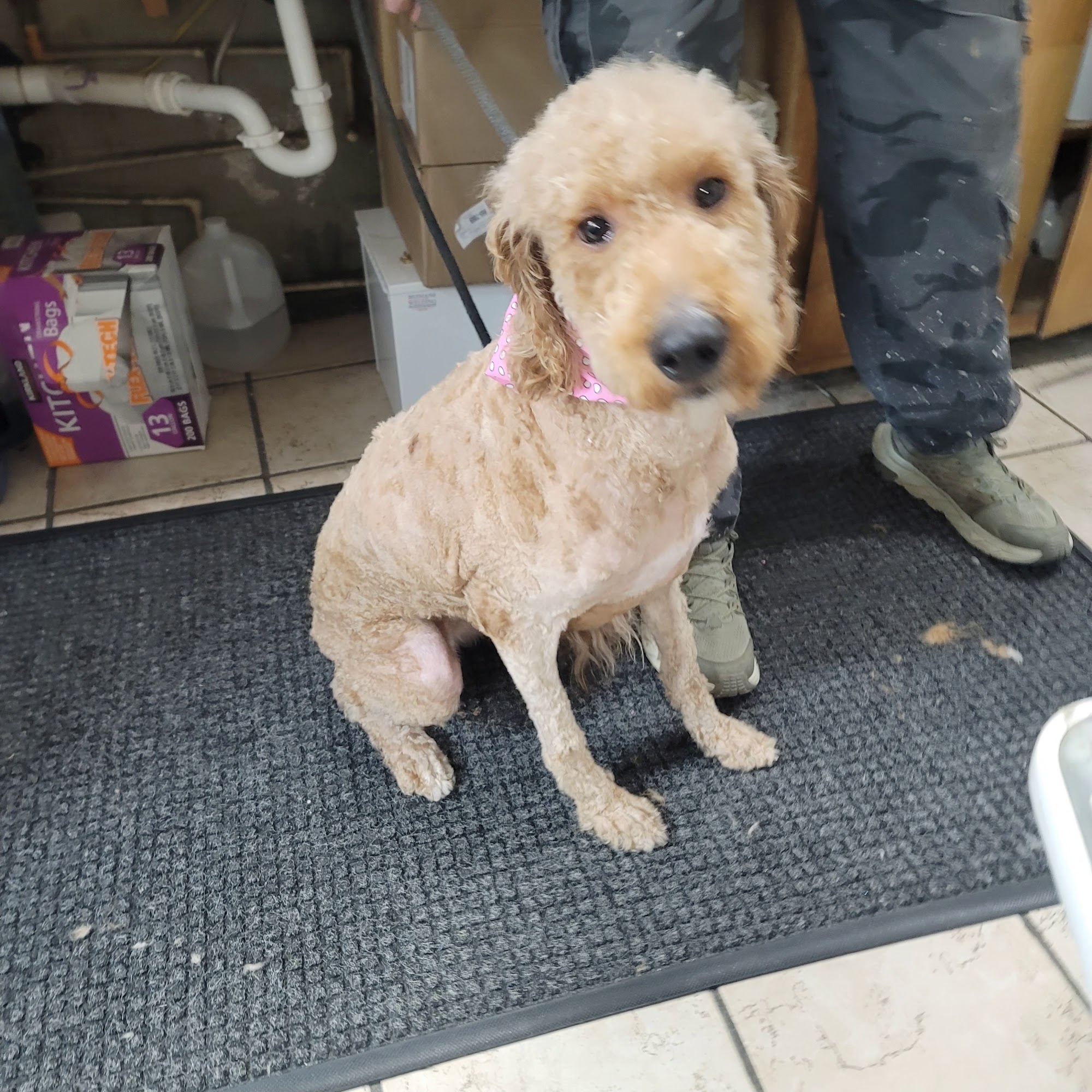 Bannister Veterinary Clinic Raytown